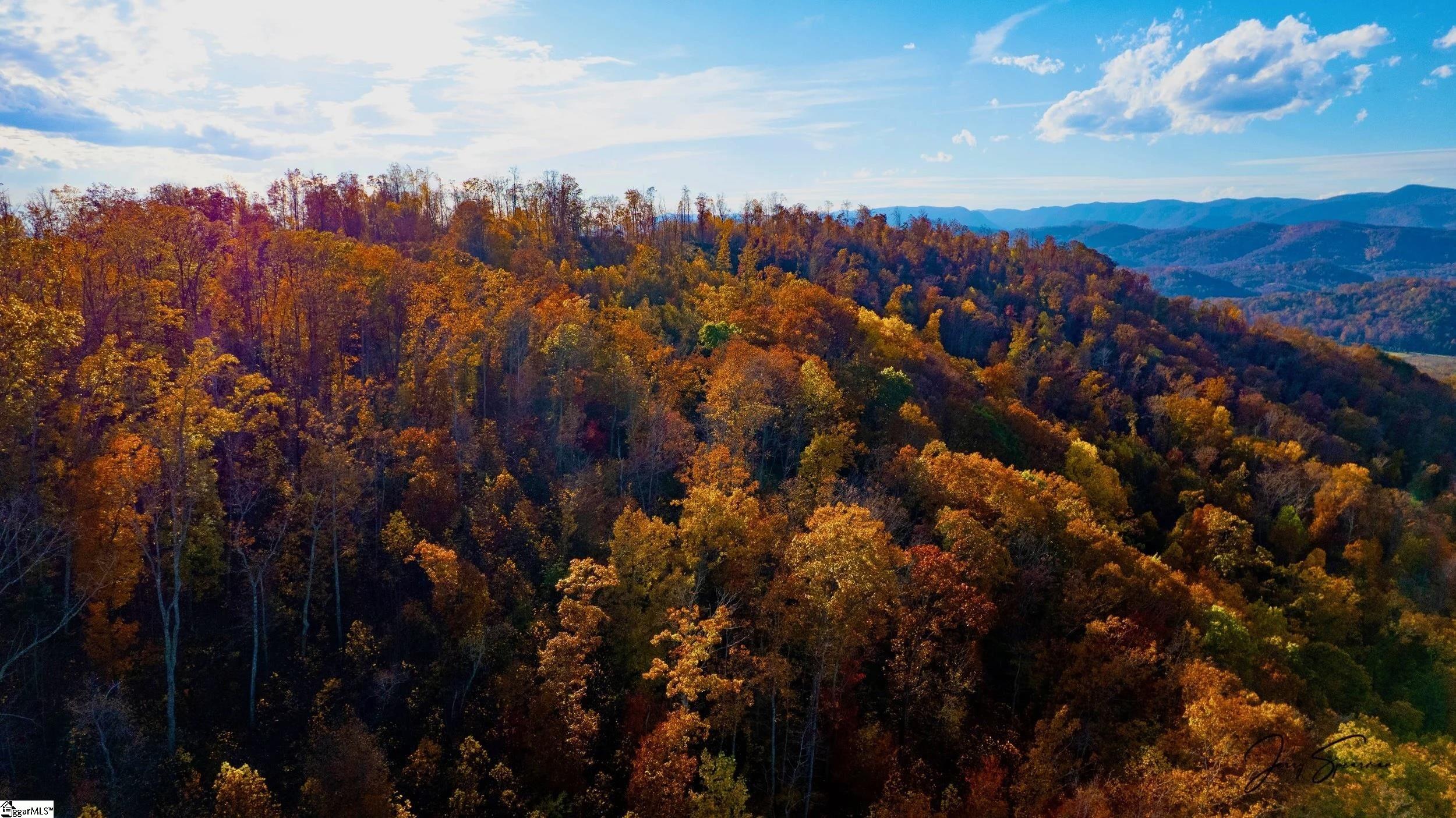 200 Chestnut Mountain Road, Travelers Rest, SC, 29660