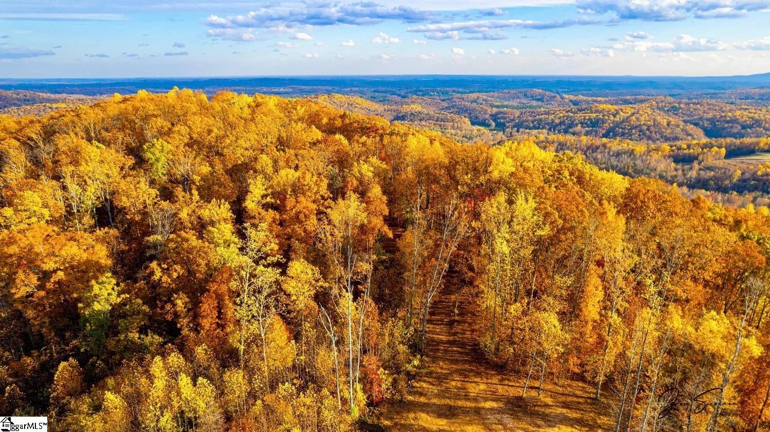 200 Chestnut Mountain Road, Travelers Rest, SC, 29660