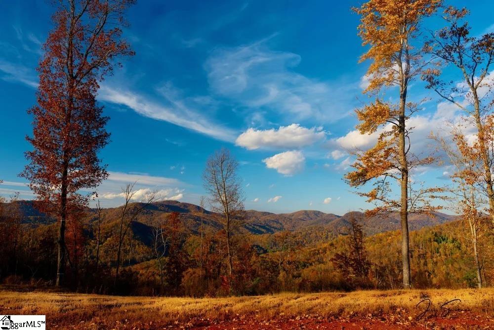 200 Chestnut Mountain Road, Travelers Rest, SC, 29660