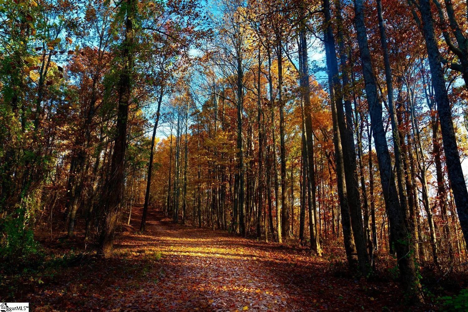 200 Chestnut Mountain Road, Travelers Rest, SC, 29660