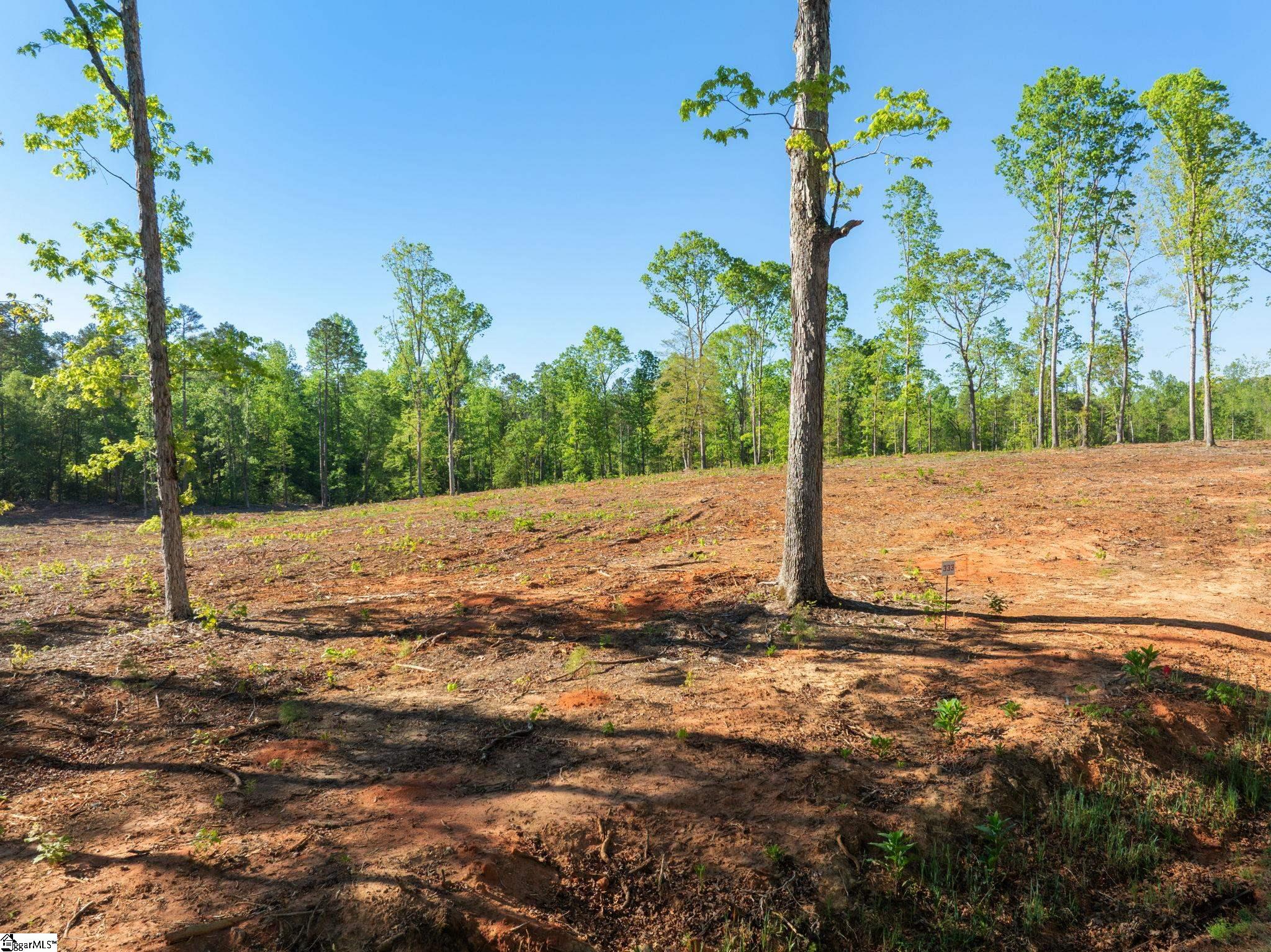 Find Your Home in South Carolina