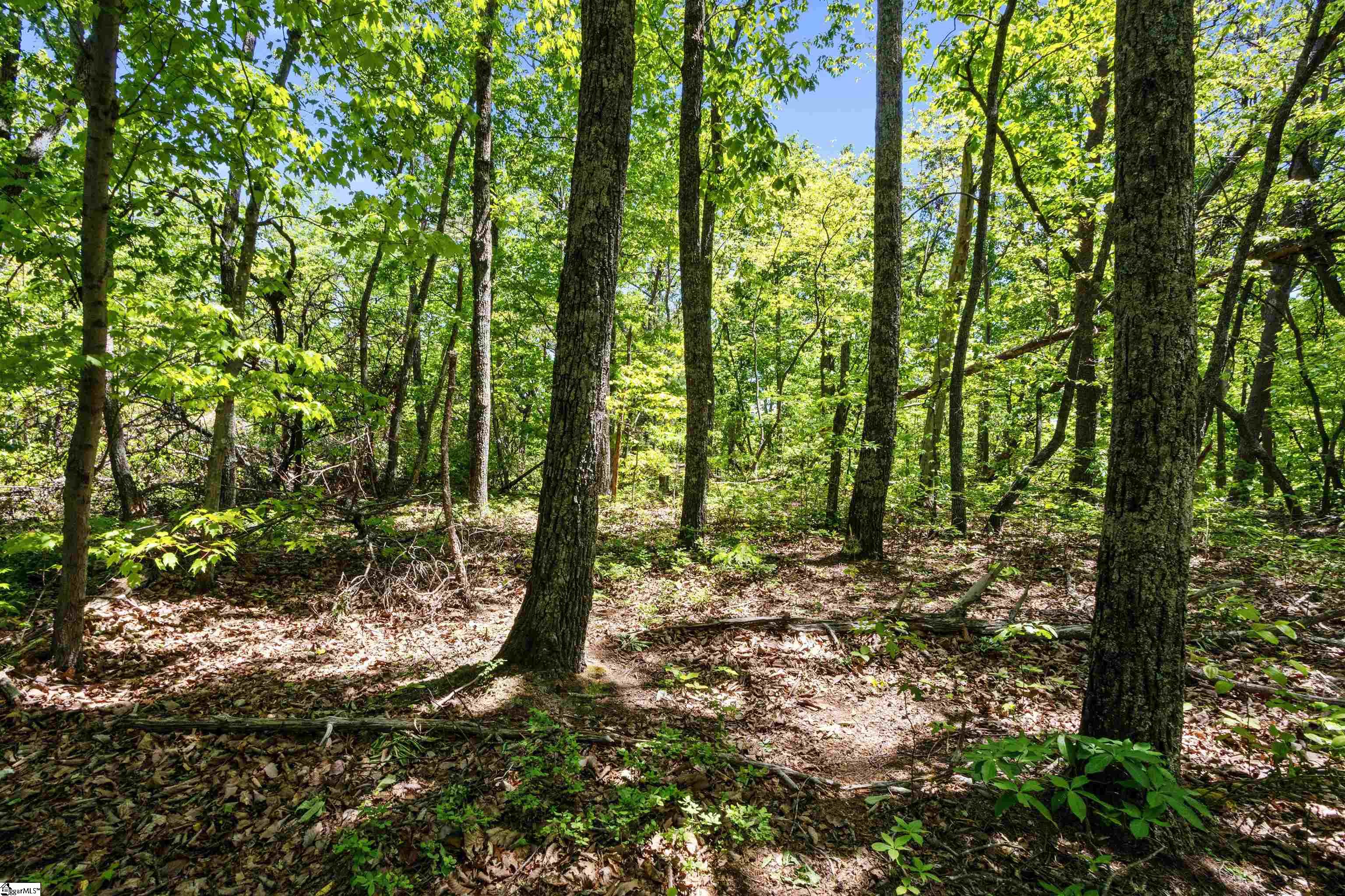 120 Chestnut Mountain Road Travelers Rest, SC 29690-8134