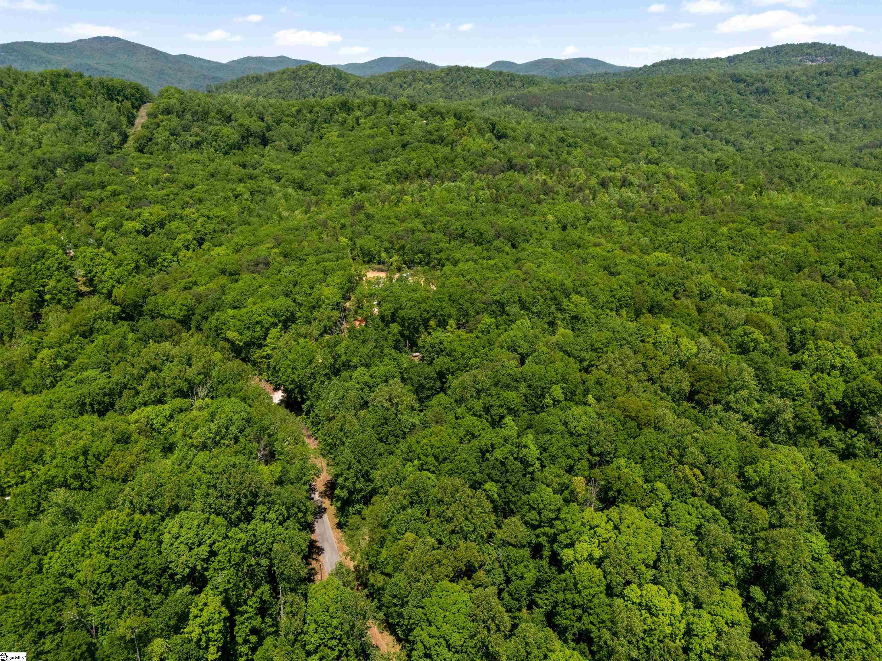 120 Chestnut Mountain Road Travelers Rest, SC 29690-8134