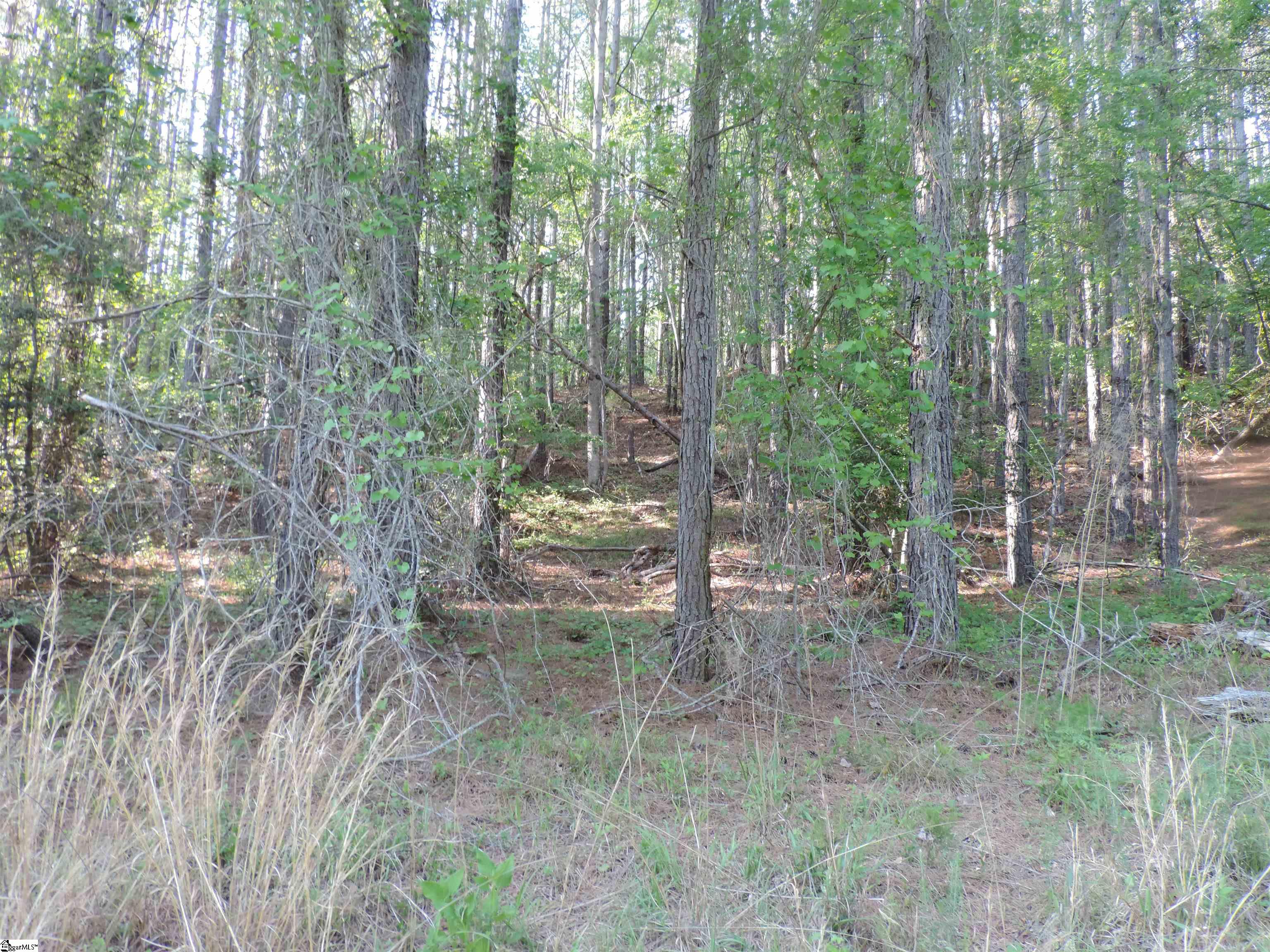 Hobbysville Road Roebuck, SC 29376