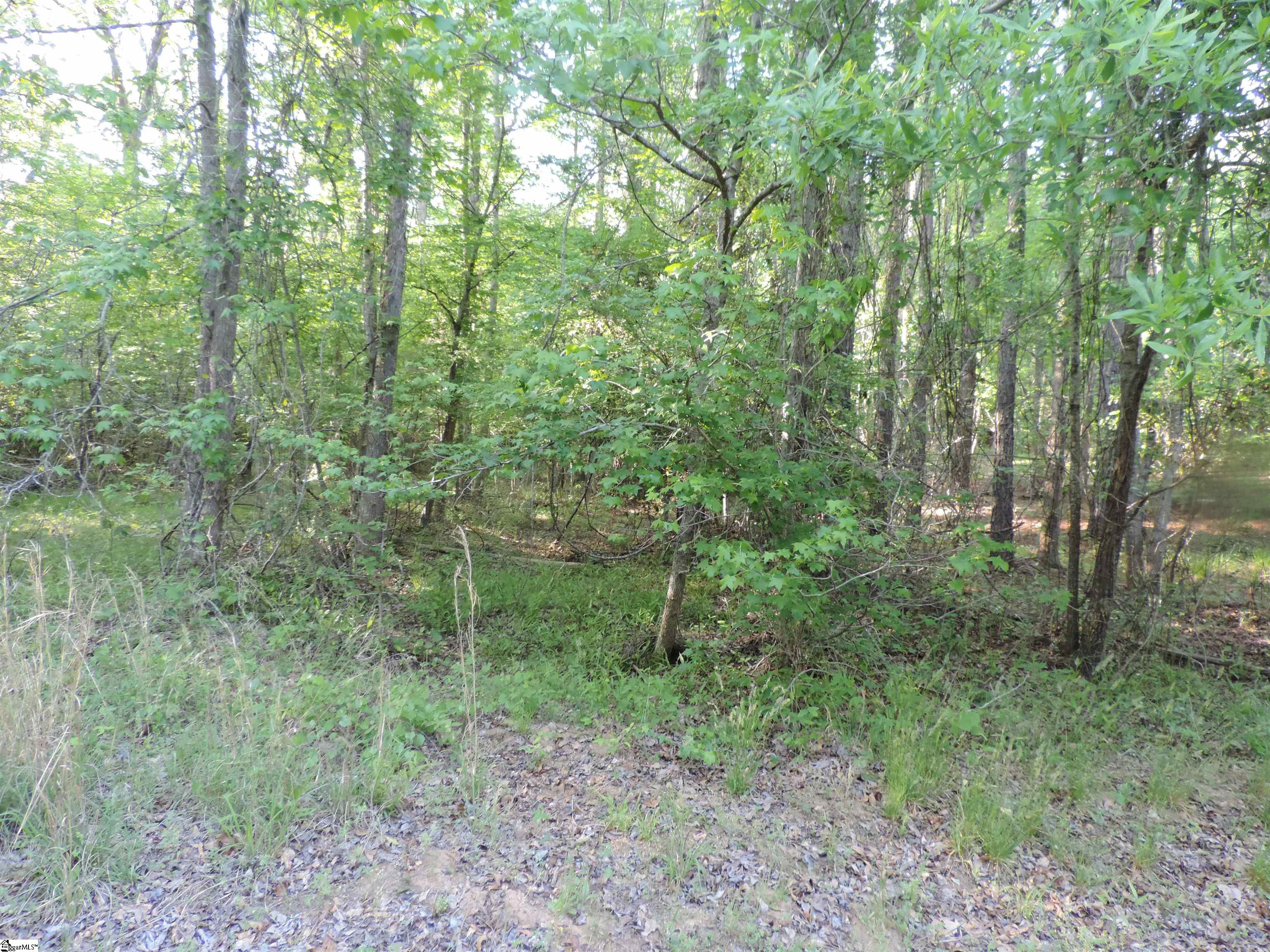 Hobbysville Road Roebuck, SC 29376