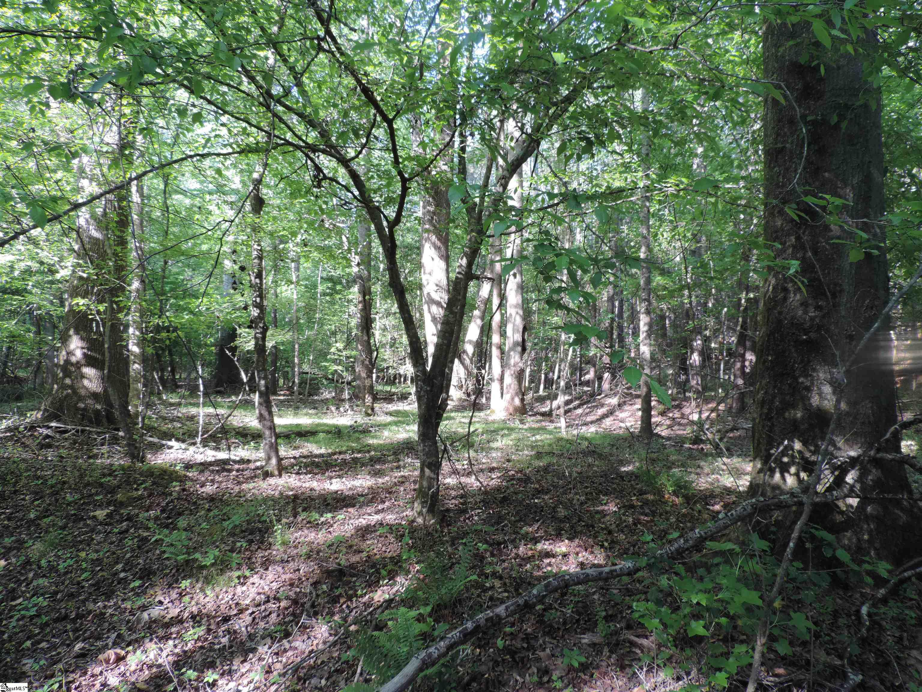 Hobbysville Road Roebuck, SC 29376