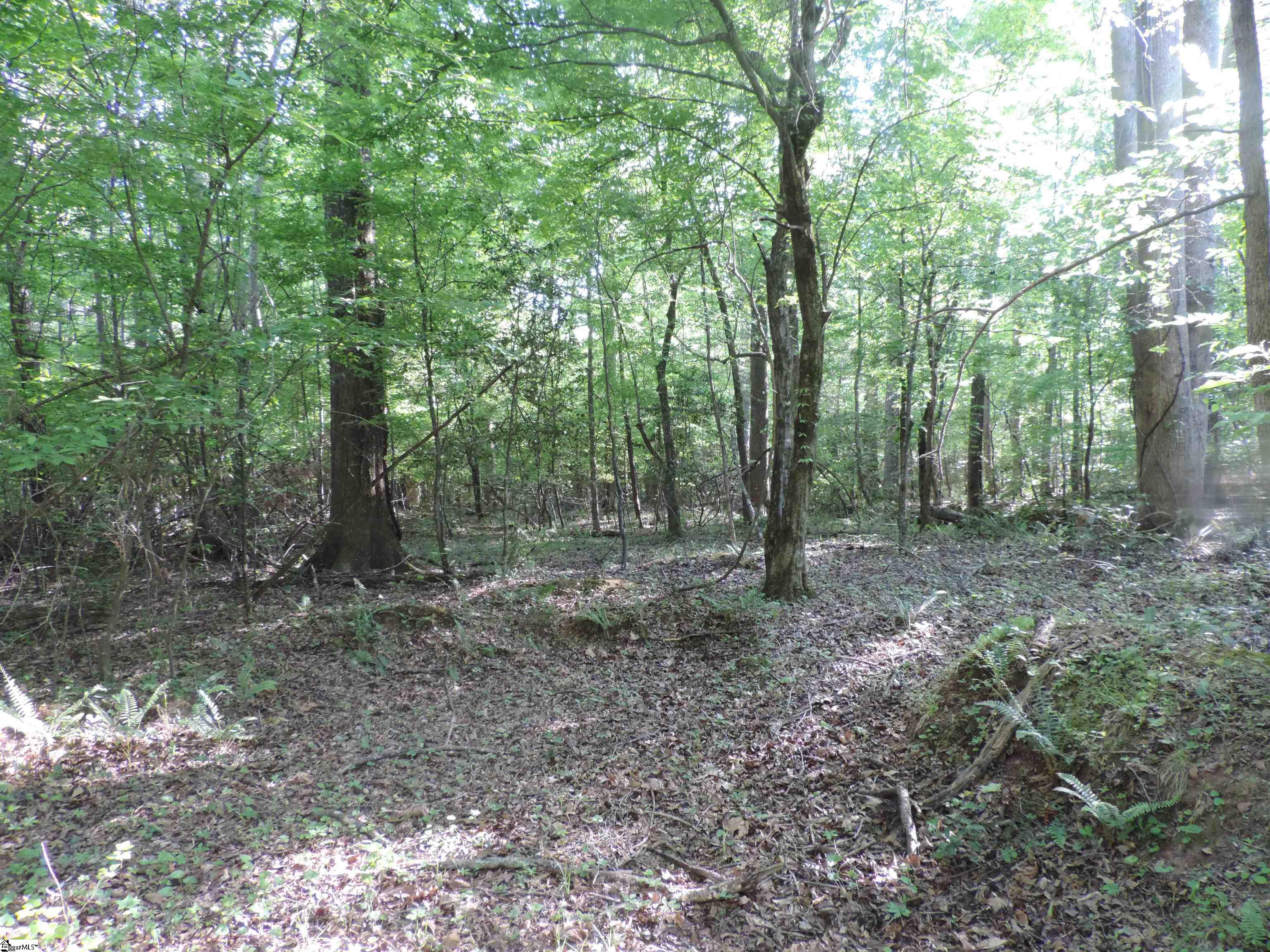 Hobbysville Road Roebuck, SC 29376