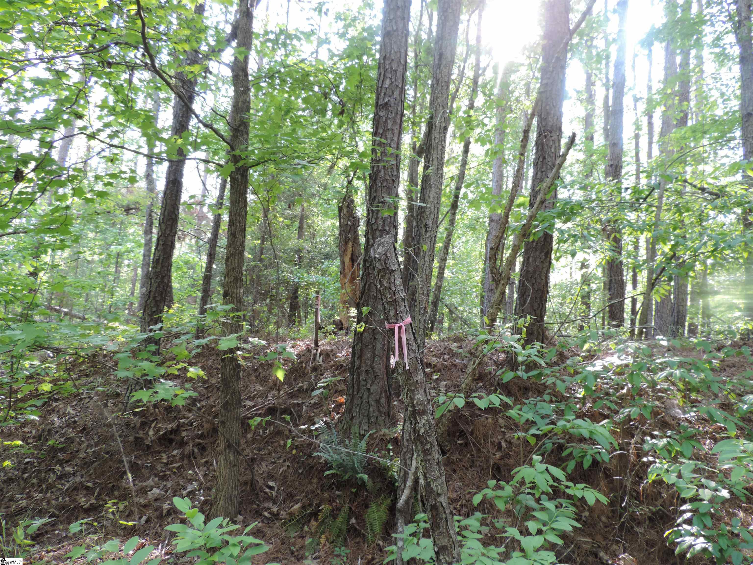 Hobbysville Road Roebuck, SC 29376