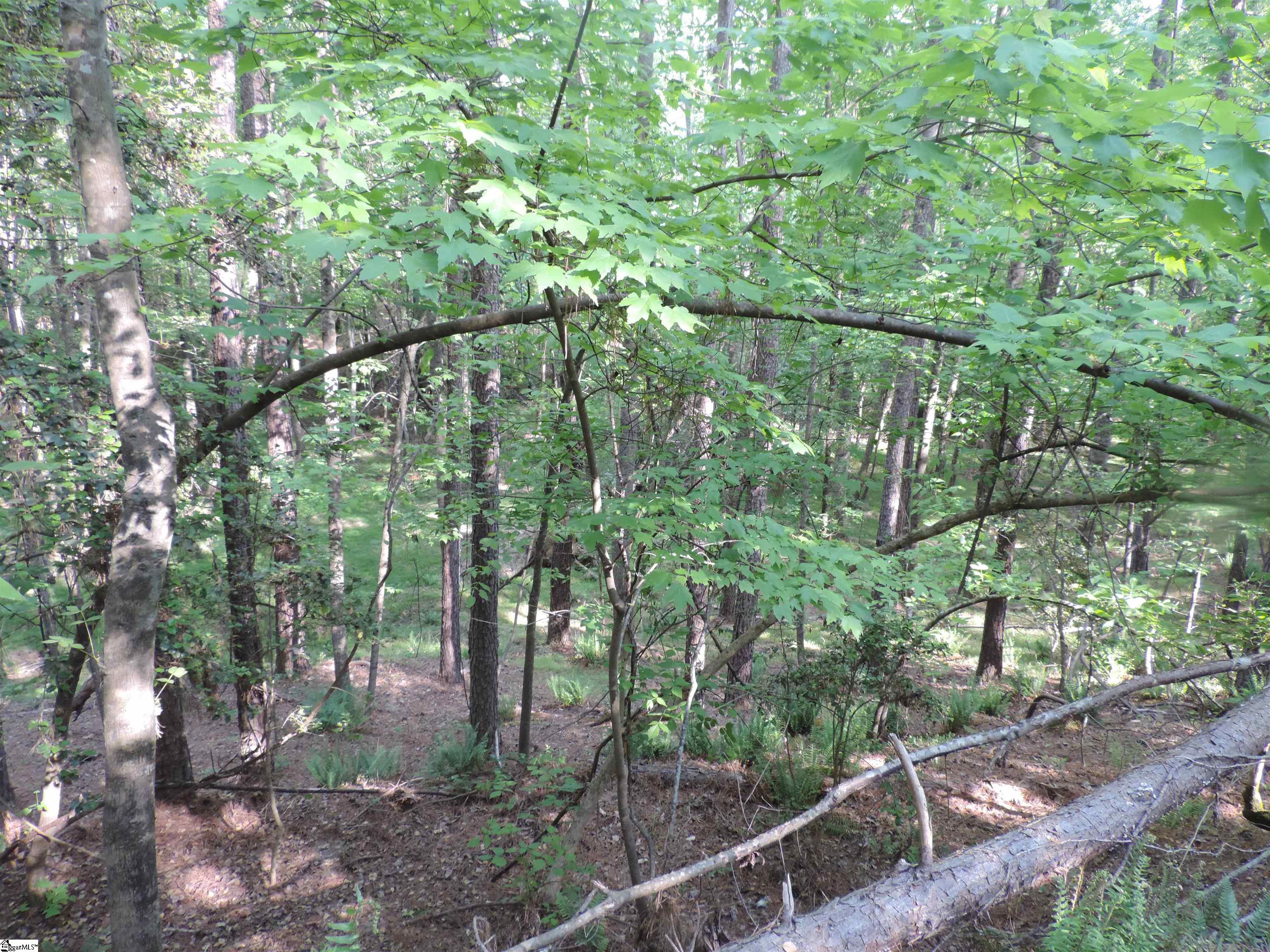 Hobbysville Road Roebuck, SC 29376