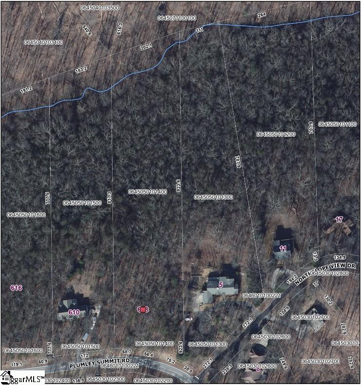608 Plumley Summit Road Landrum, SC 29356