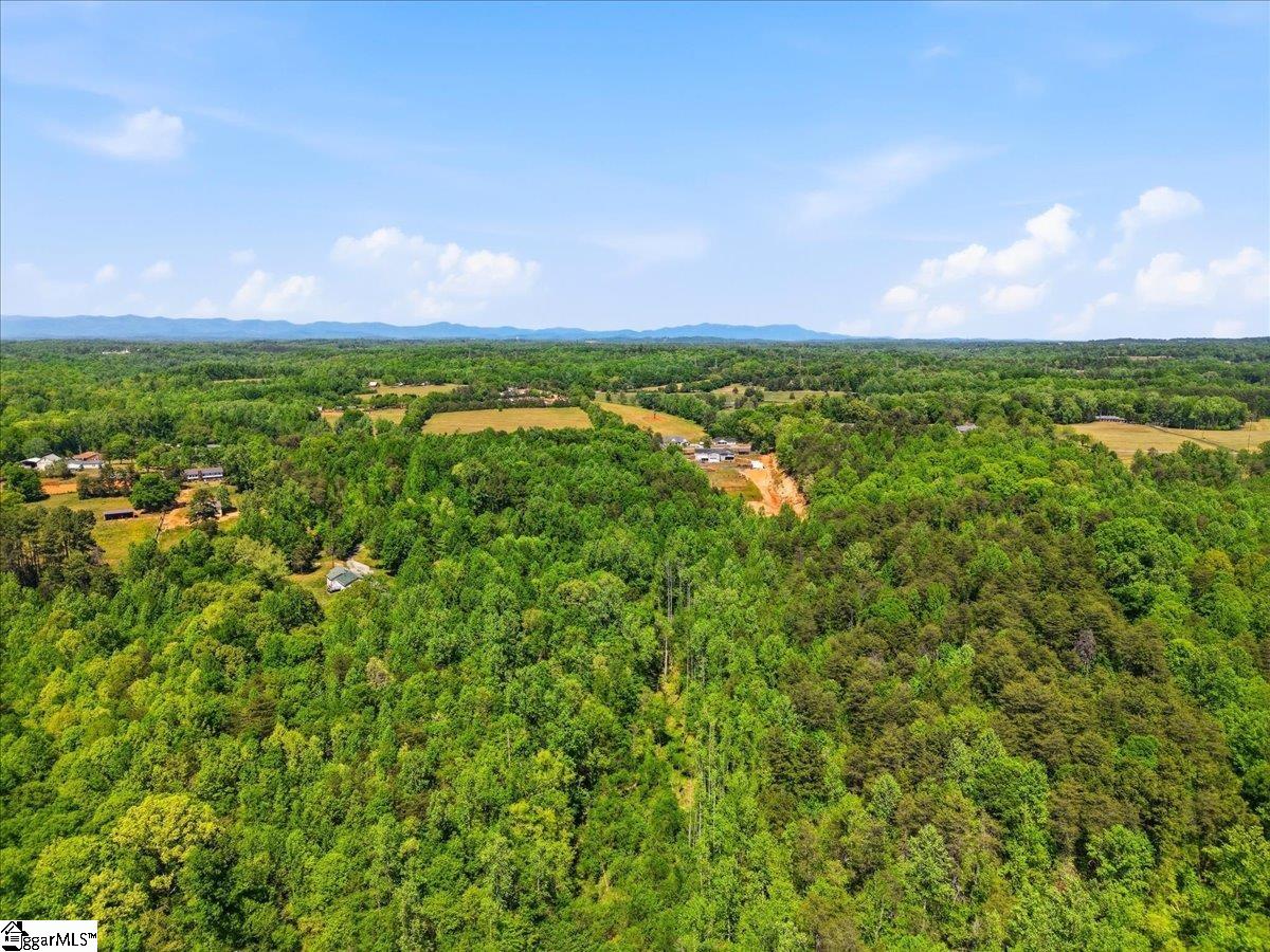Old Hunts Bridge Road Greenville, SC 29617