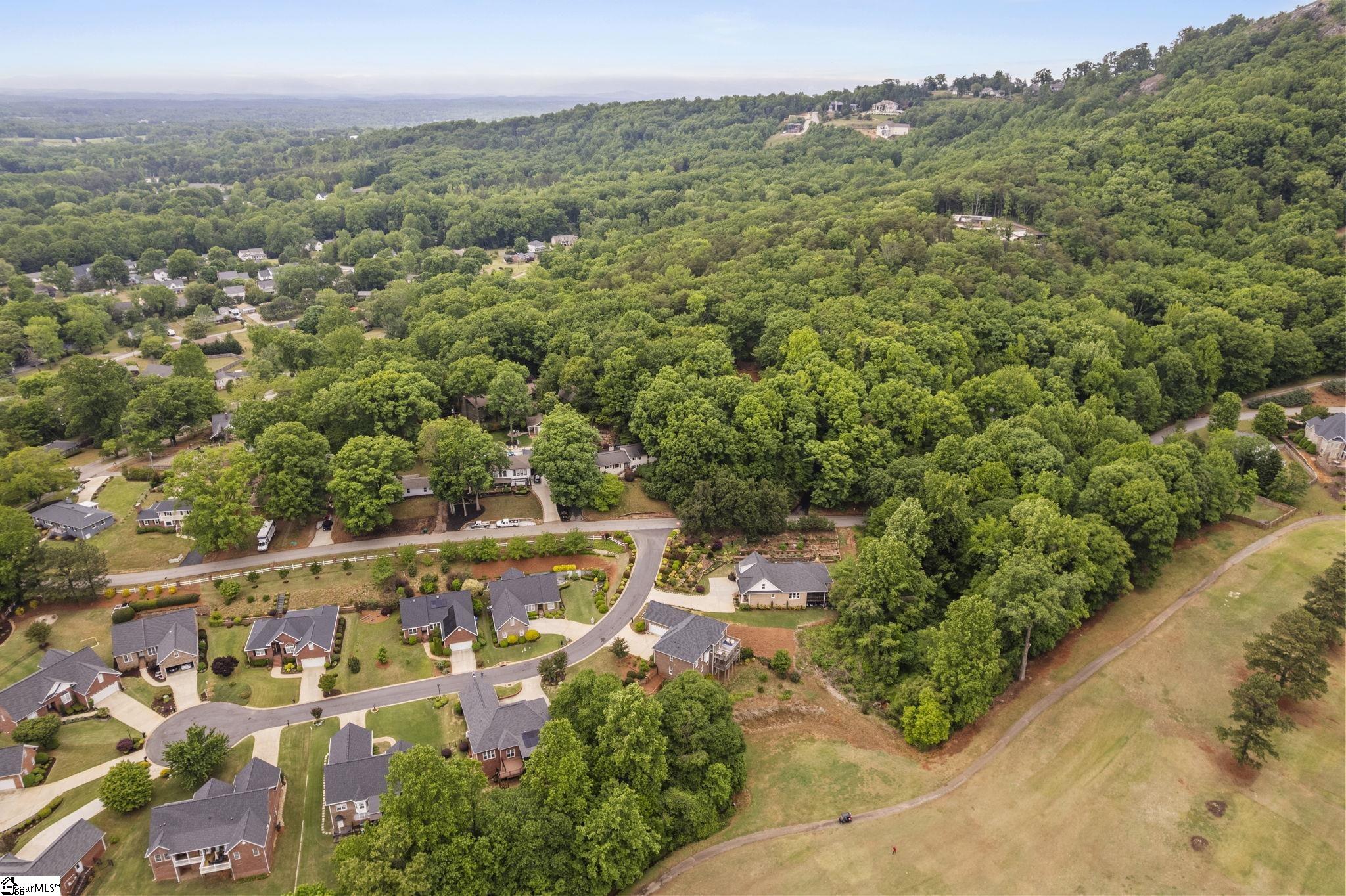 9 Belle Terre Court Greenville, SC 29609