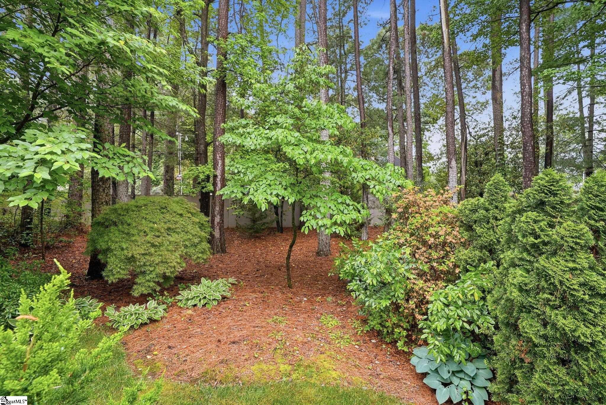 213 Castellan Drive Greer, SC 29650