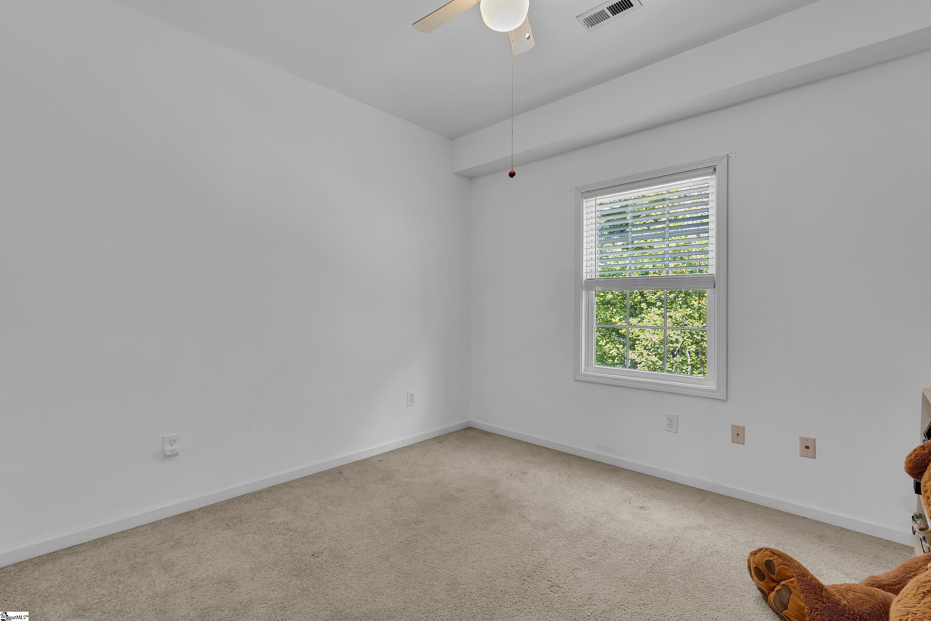 163 Healy Lane Marietta, SC 29661