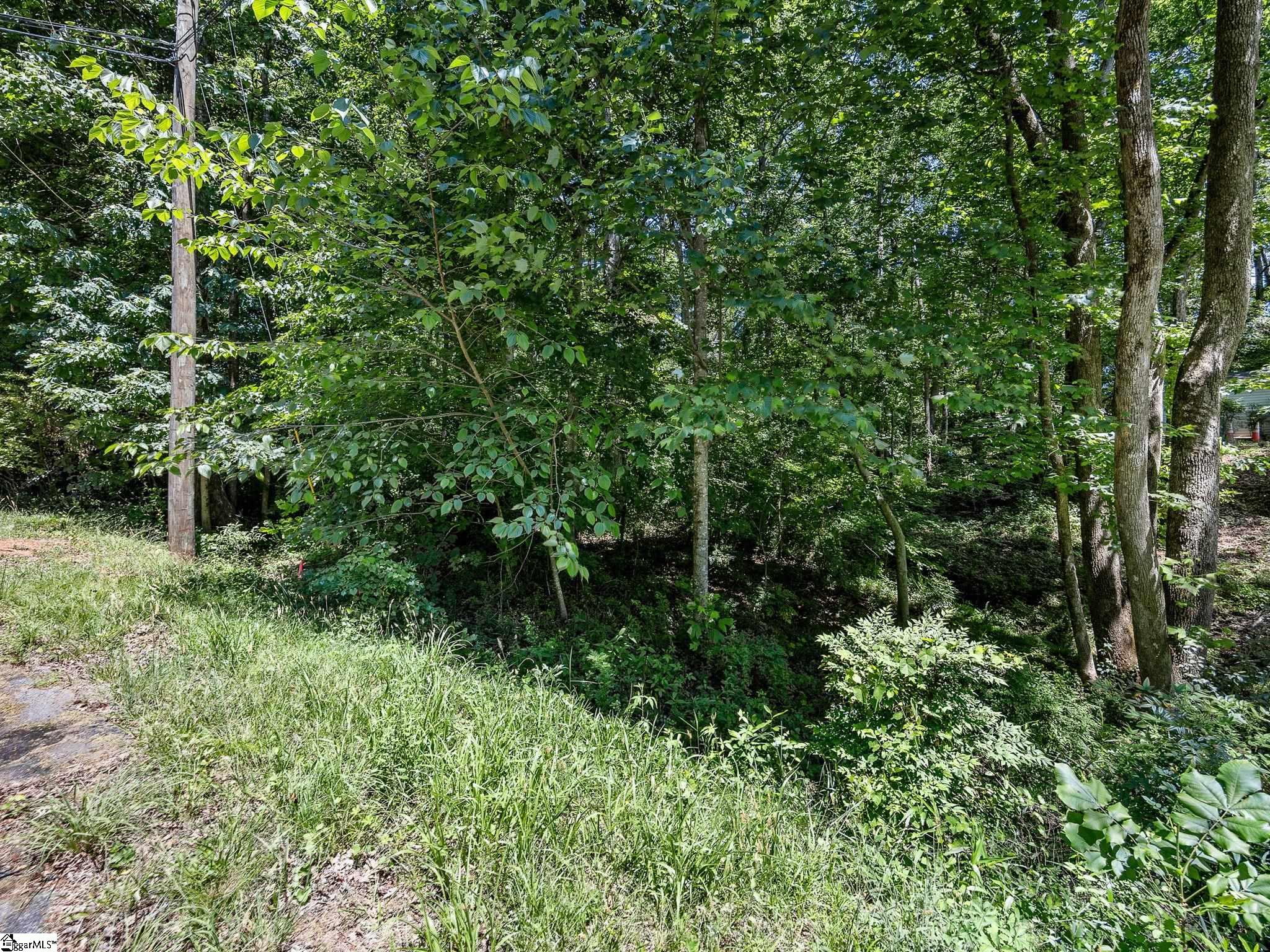 407 Palmetto Drive Greer, SC 29651