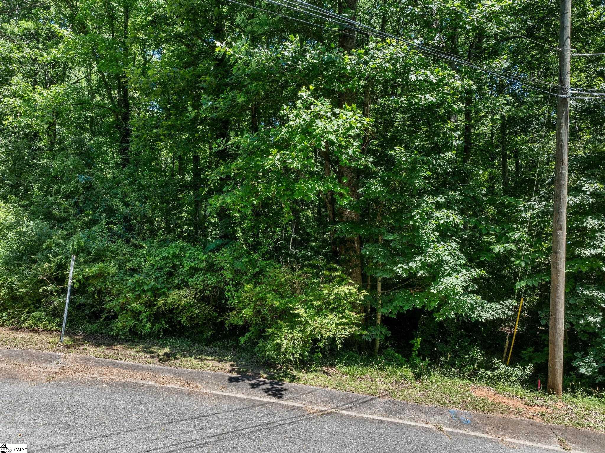 407 Palmetto Drive Greer, SC 29651