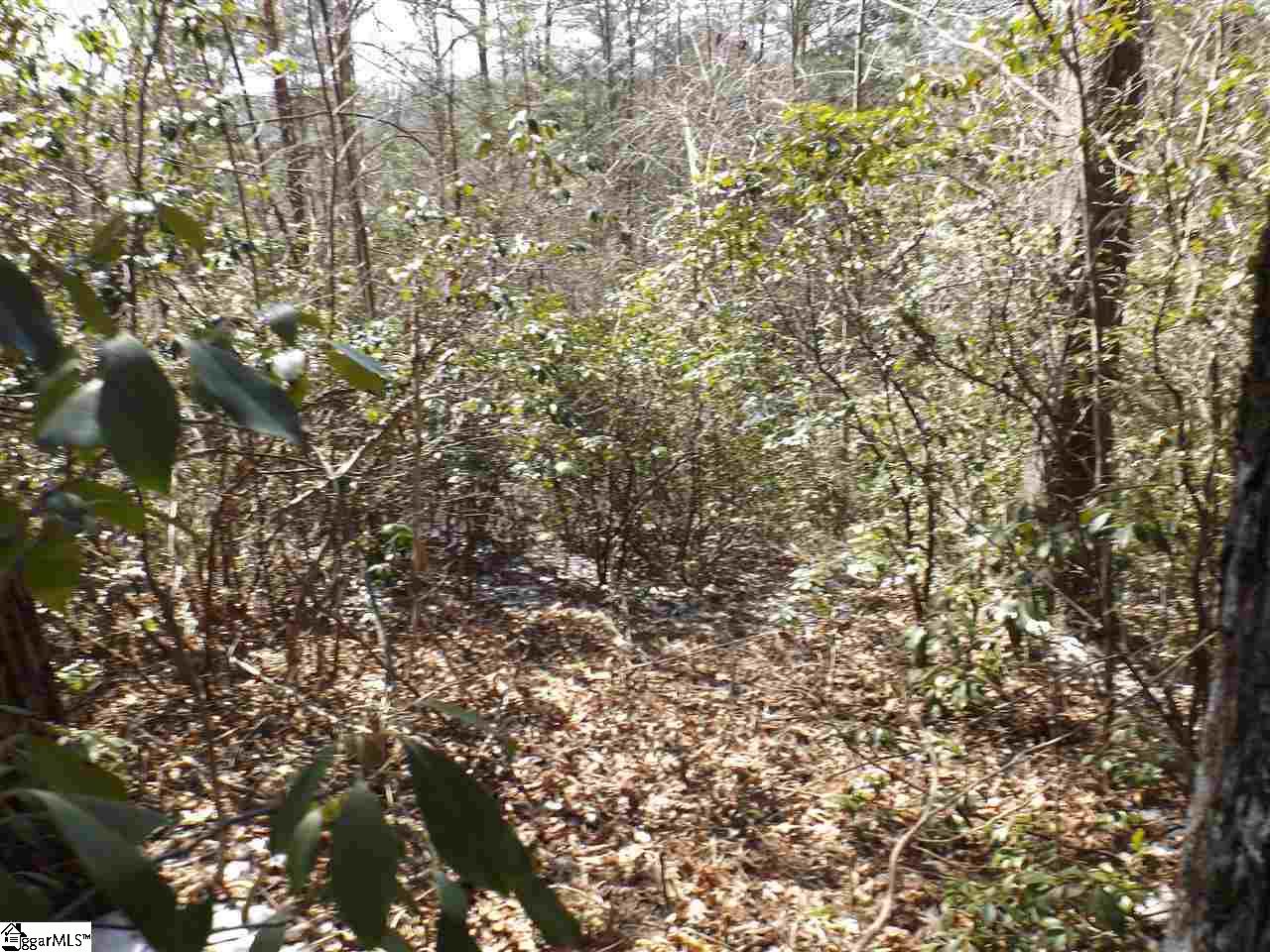 130 Fairway Woods Drive Pickens, SC 29671