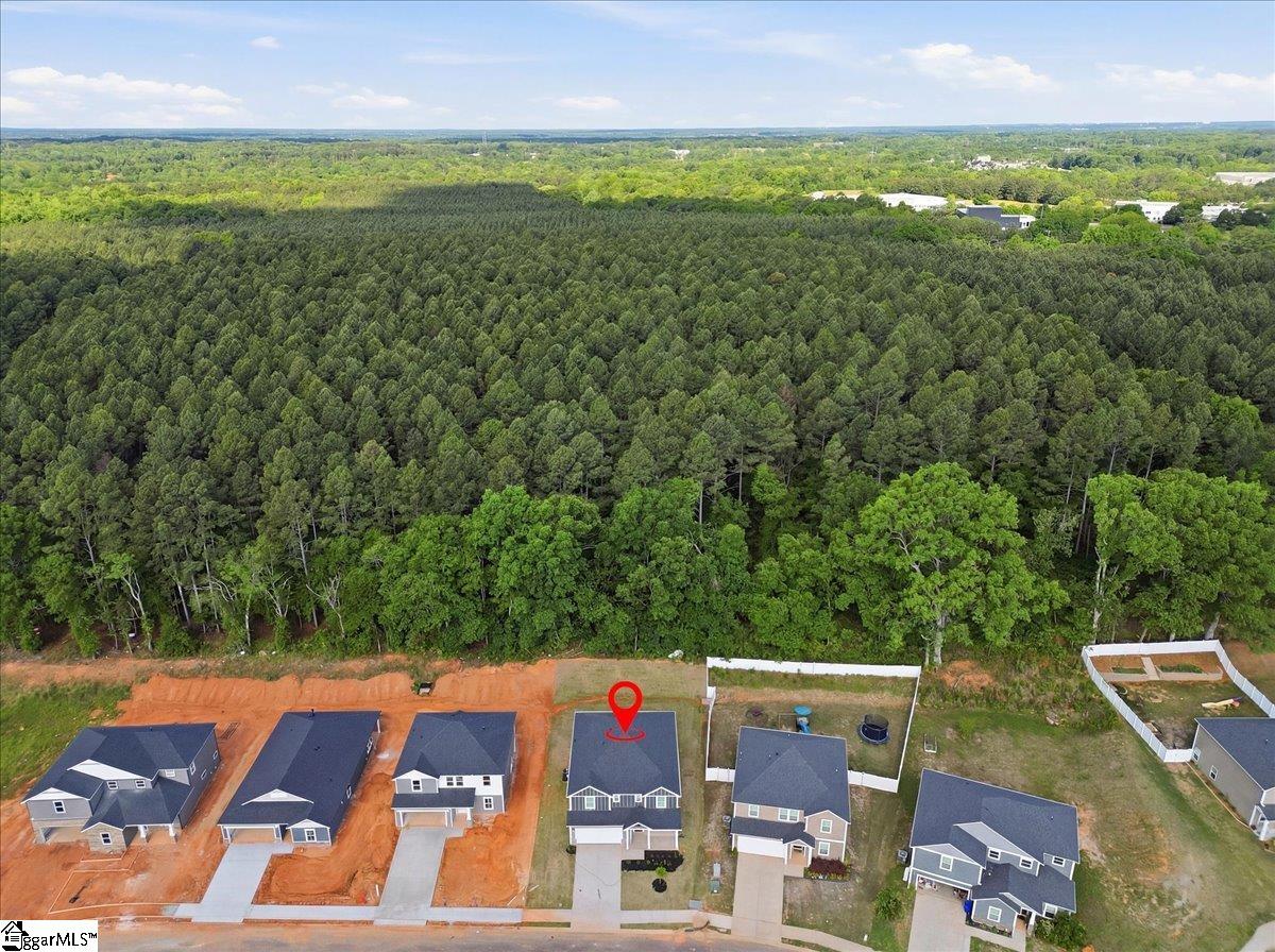 8 Swan Grove Trail Fountain Inn, SC 29645