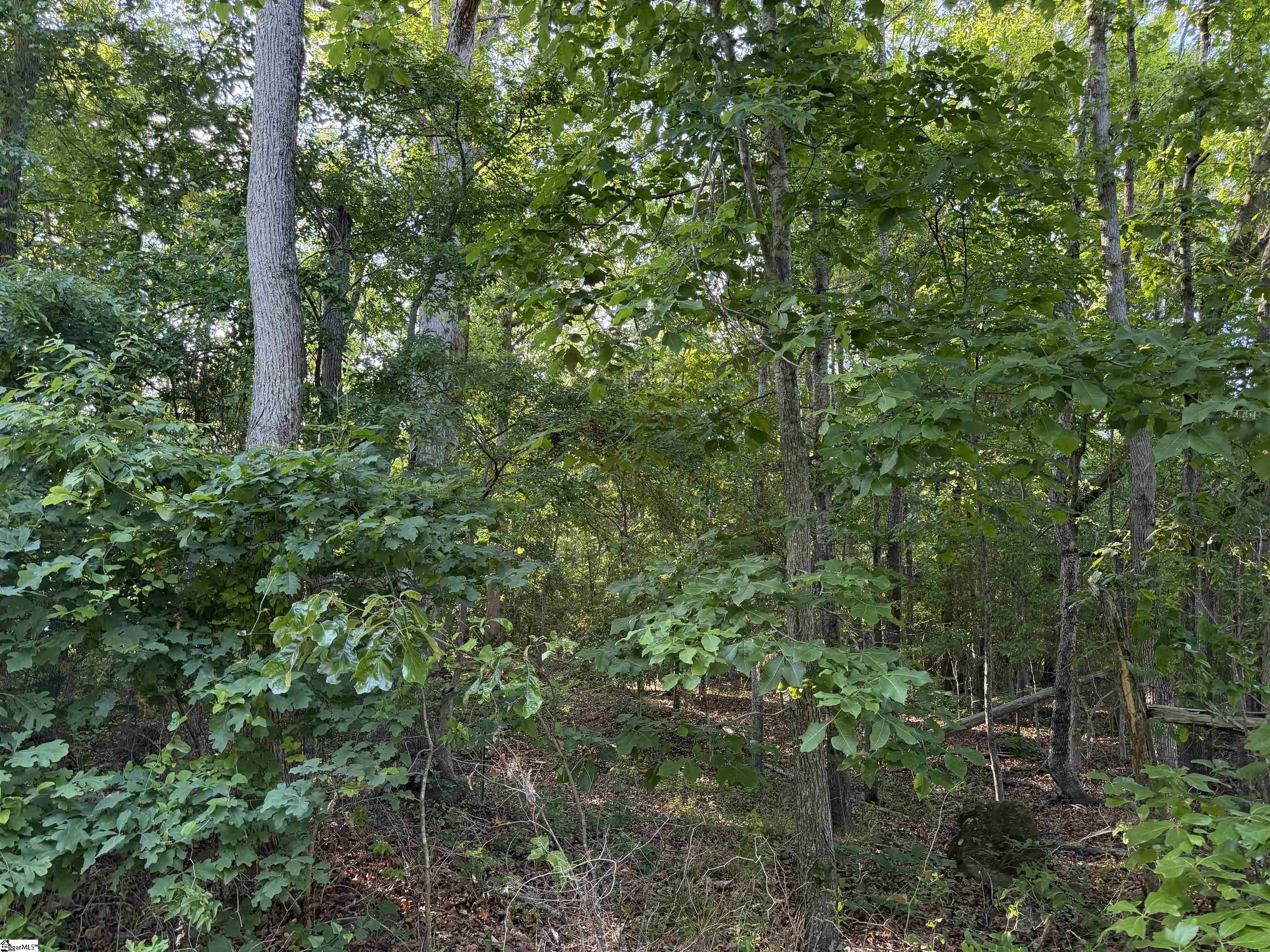 GGAR Image 6 - bk41591403