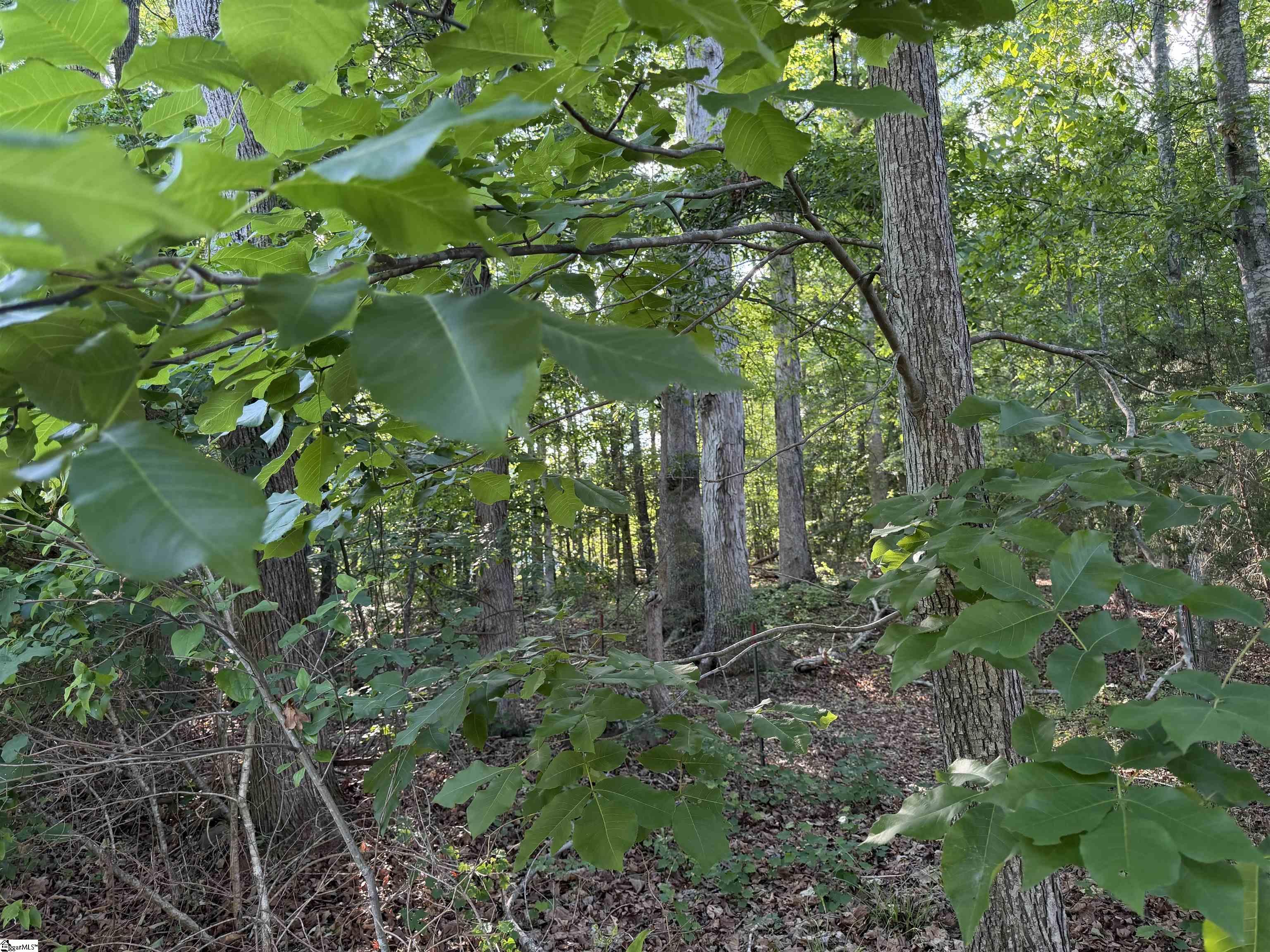 GGAR Image 7 - bk41591407