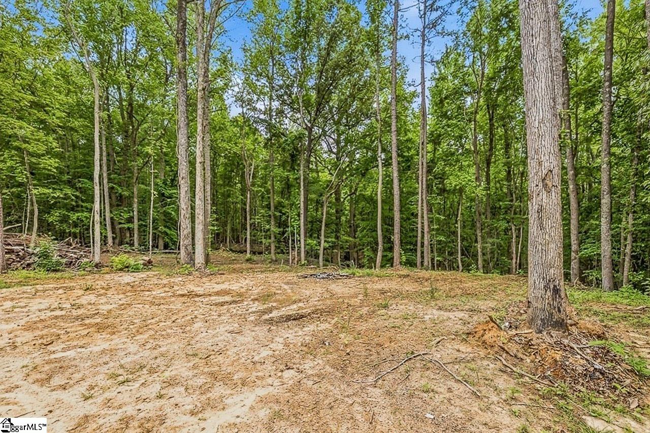 3849 Buffalo West Springs Highway Jonesville, SC 29353