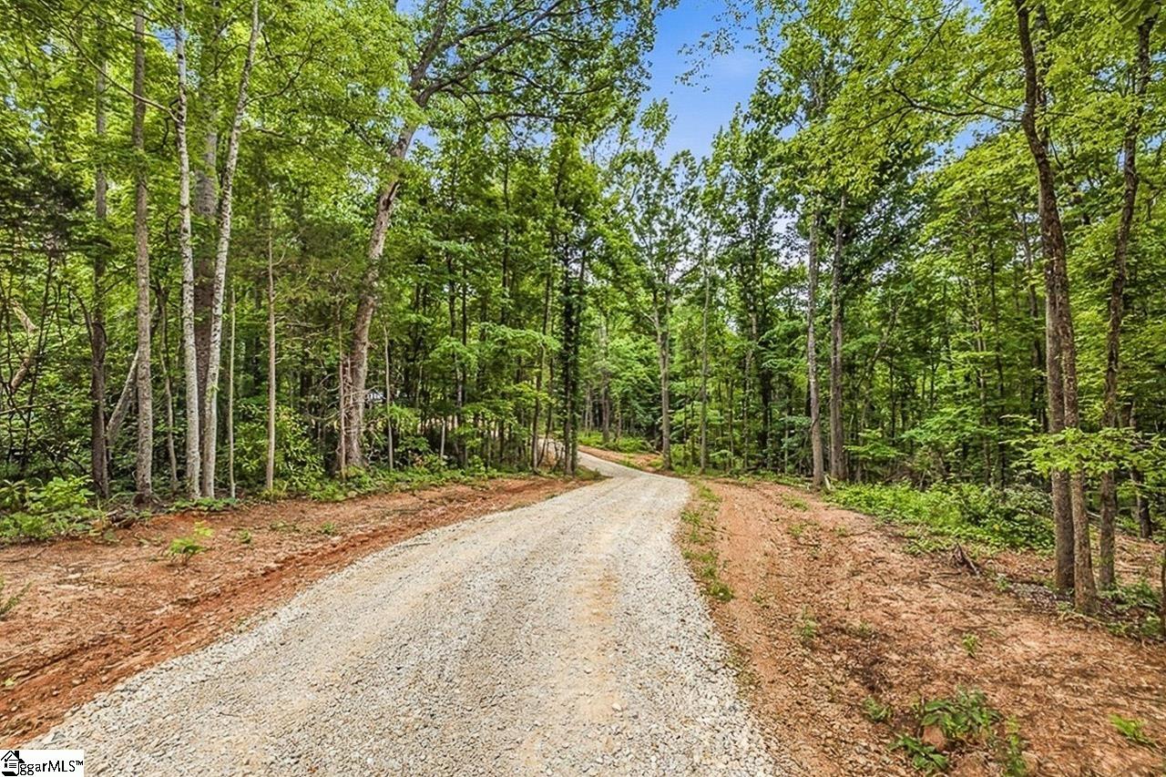 3849 Buffalo West Springs Highway Jonesville, SC 29353