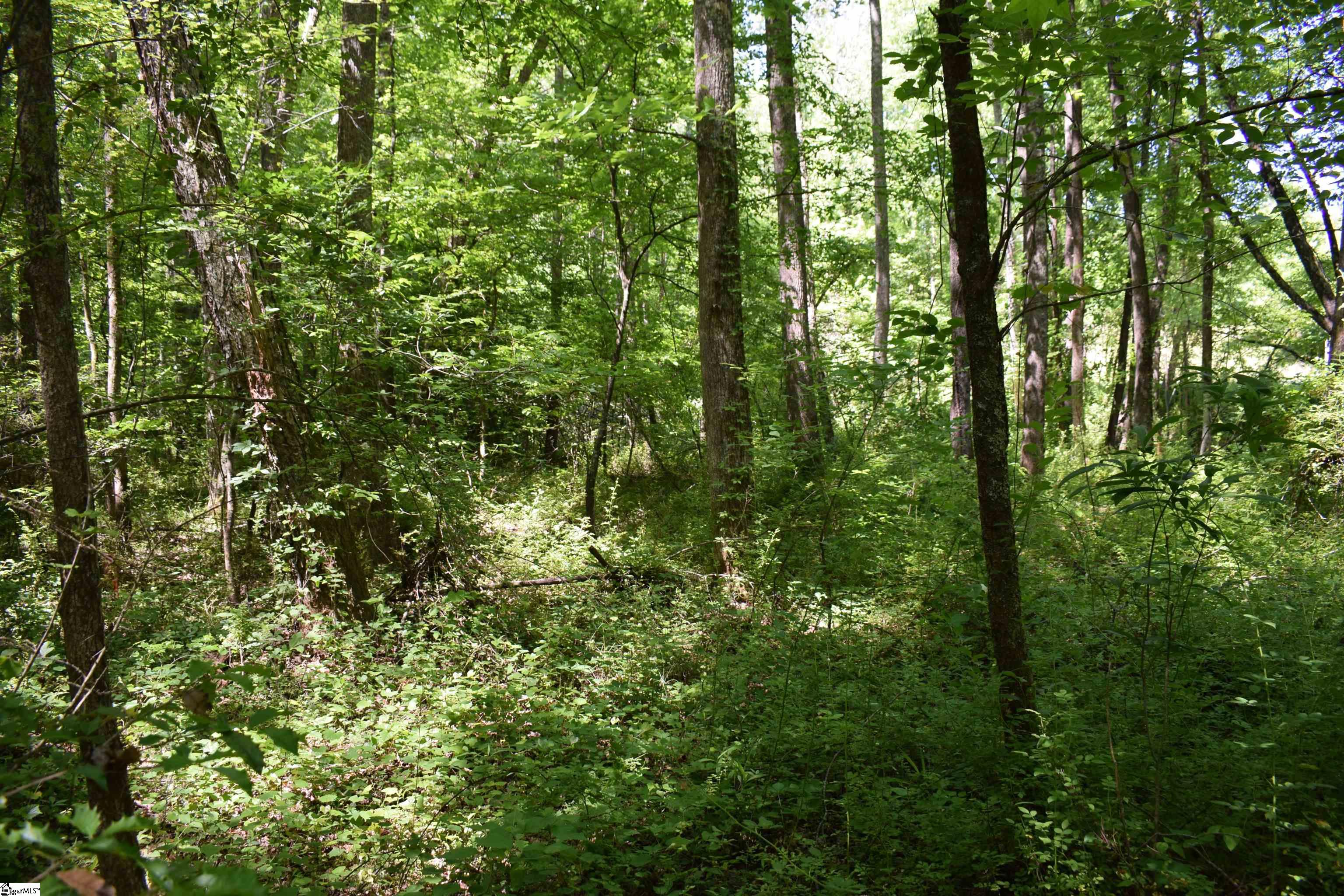 Floyd Blackwell Road Tryon, NC 28722