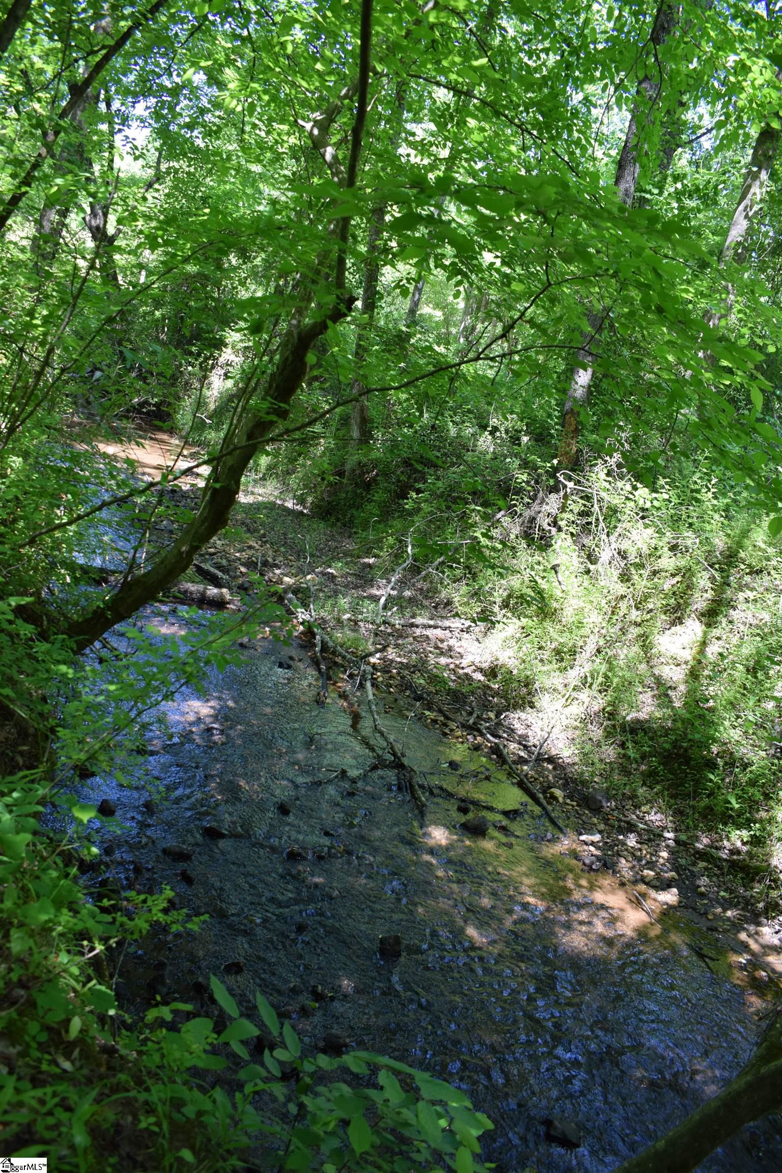 Floyd Blackwell Road Tryon, NC 28722