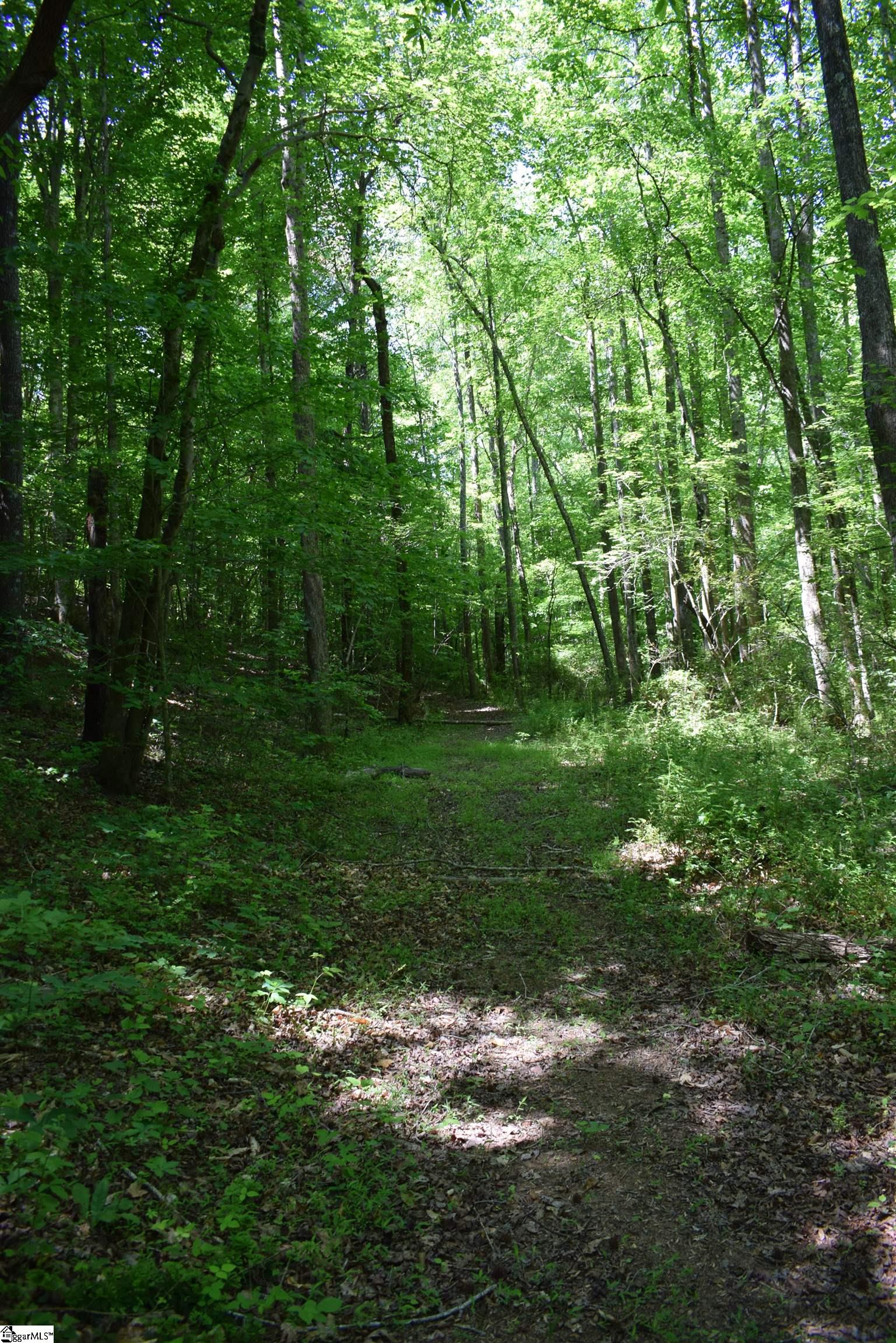 Floyd Blackwell Road Tryon, NC 28722