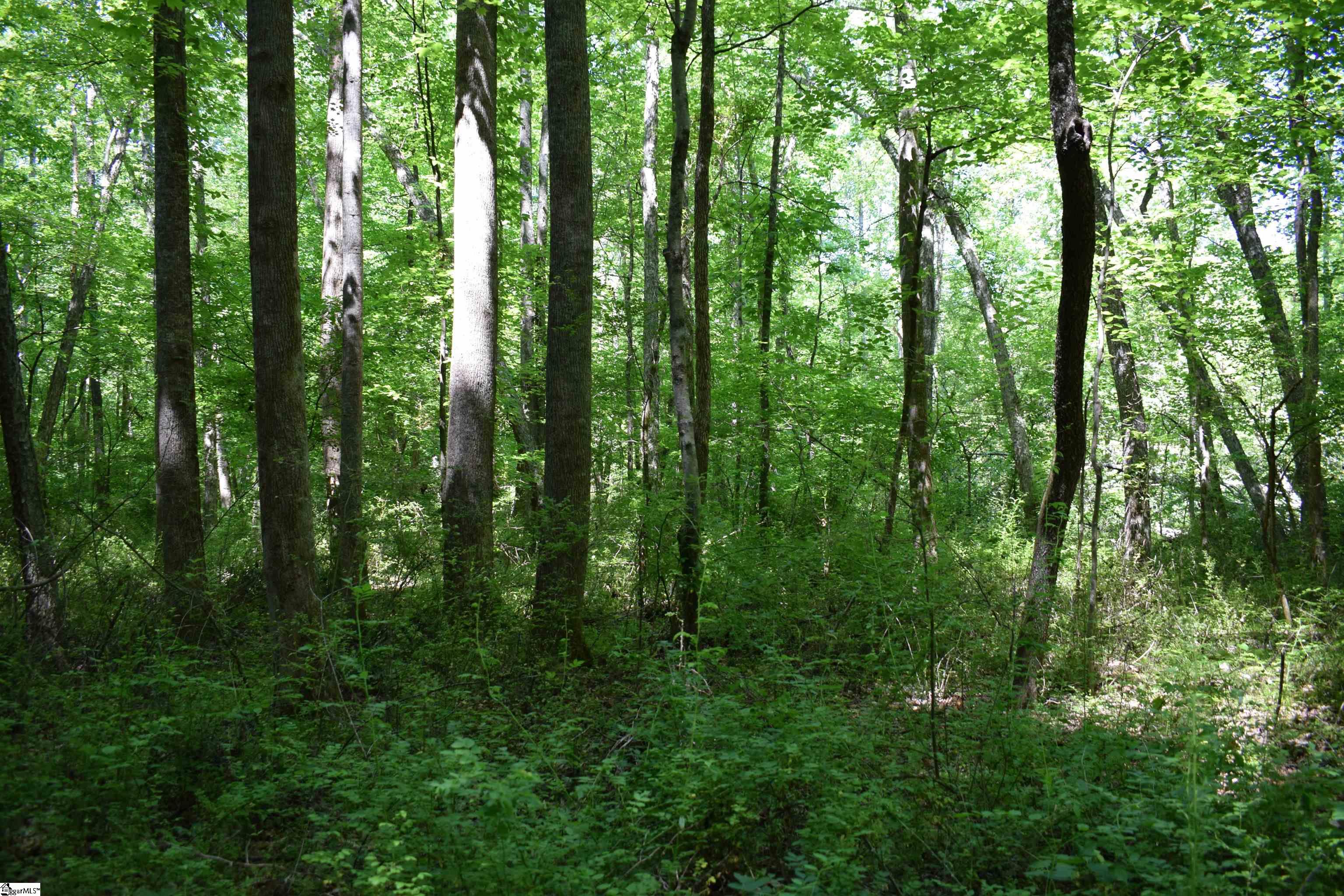 Floyd Blackwell Road Tryon, NC 28722