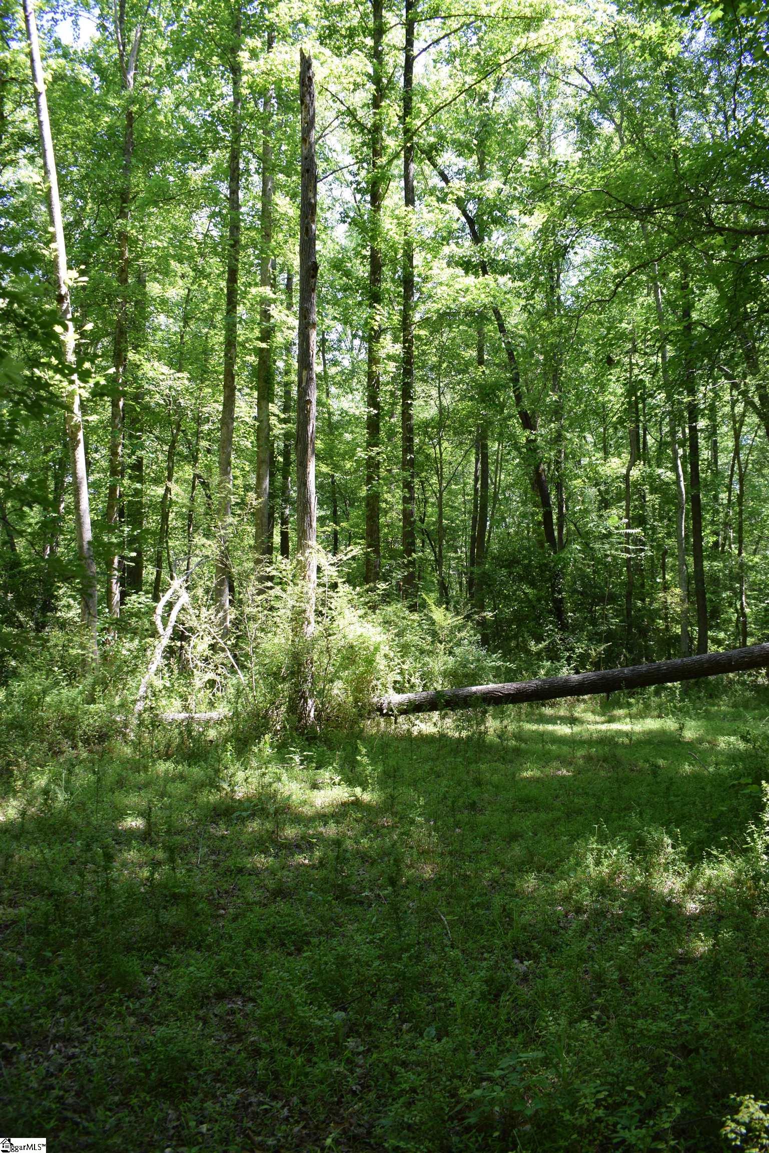 Floyd Blackwell Road Tryon, NC 28722