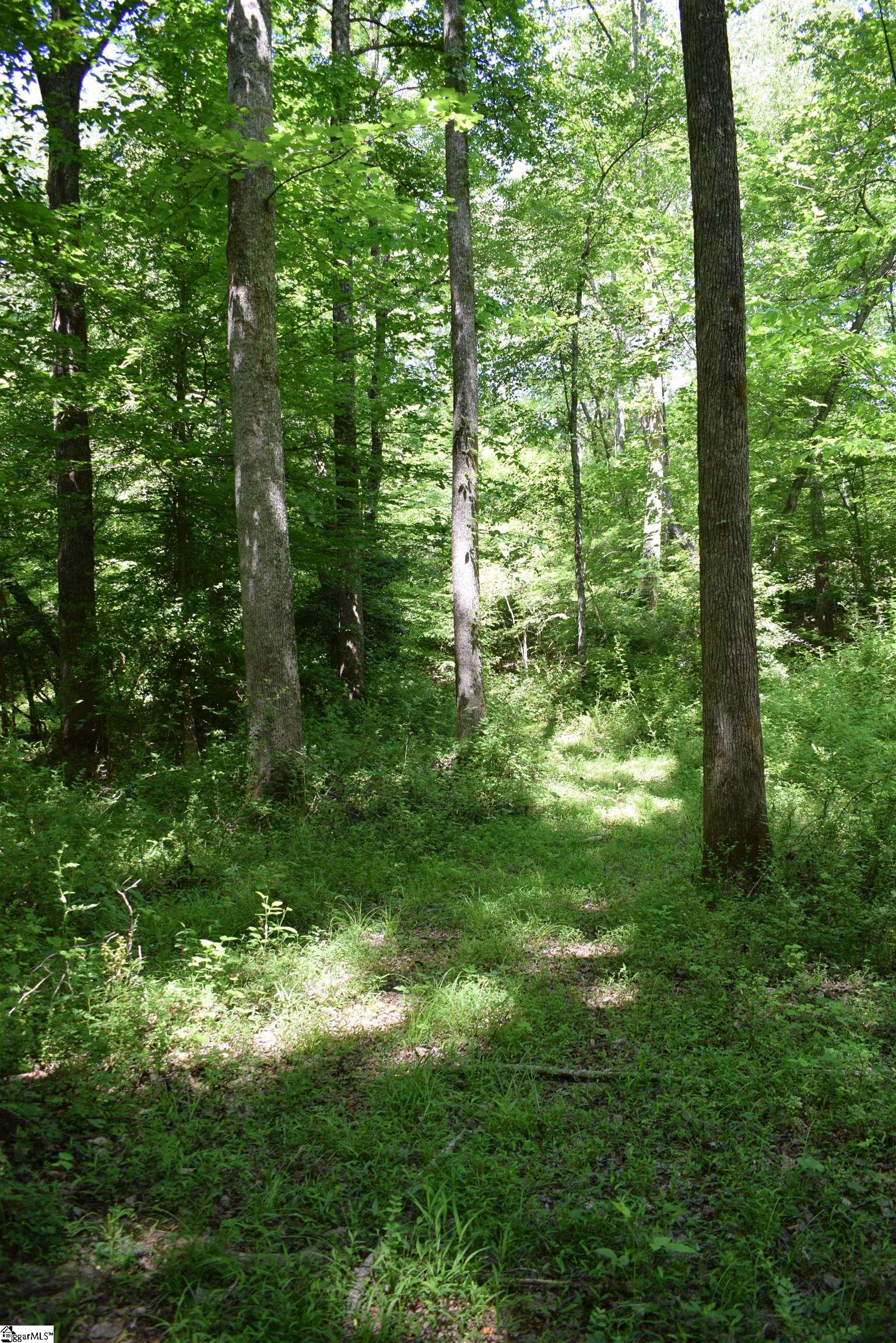Floyd Blackwell Road Tryon, NC 28722