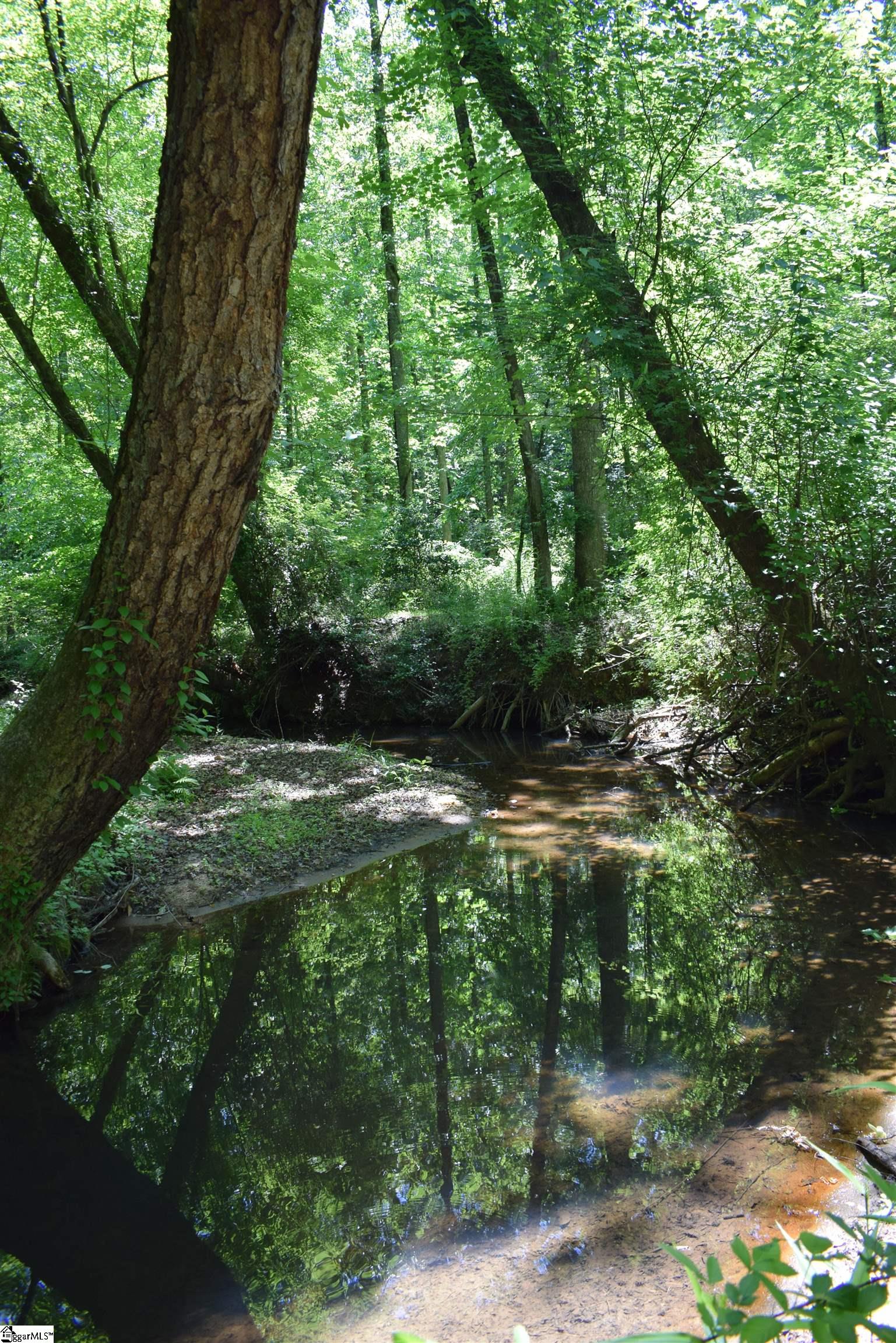 Floyd Blackwell Road Tryon, NC 28722