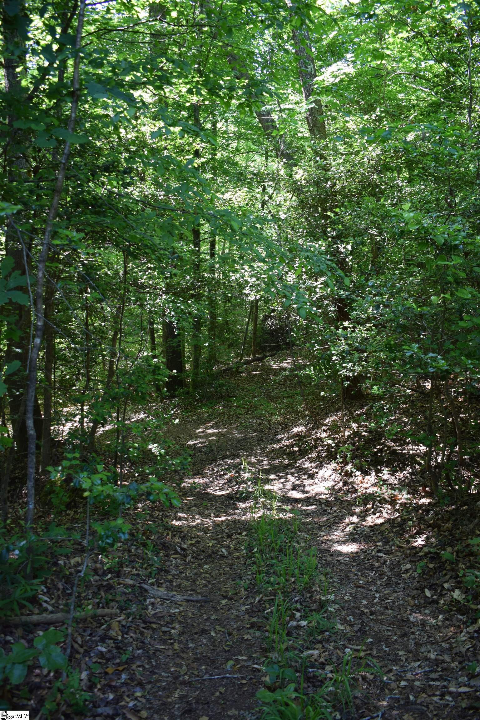 Floyd Blackwell Road Tryon, NC 28722
