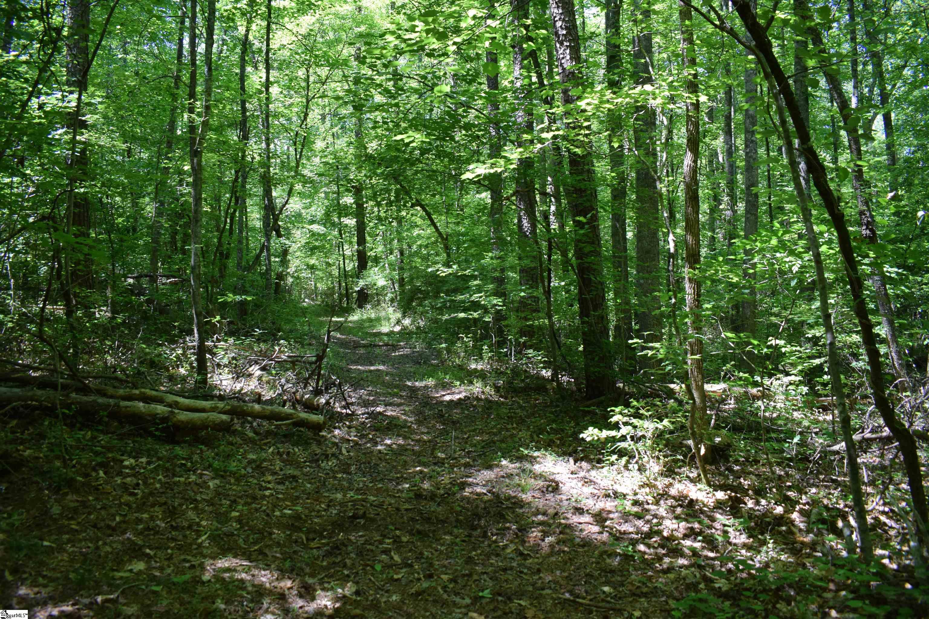 Floyd Blackwell Road Tryon, NC 28722