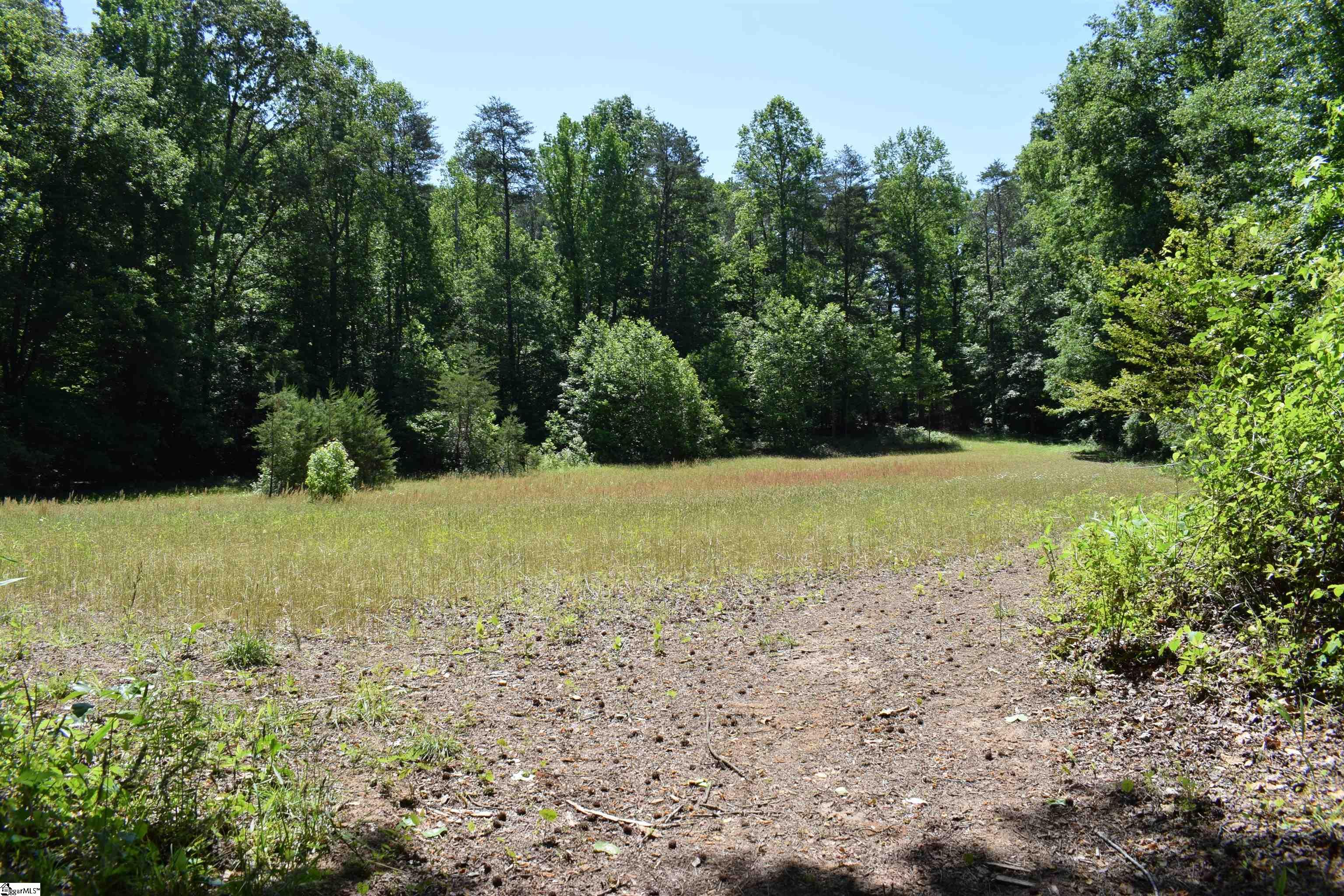 Floyd Blackwell Road Tryon, NC 28722