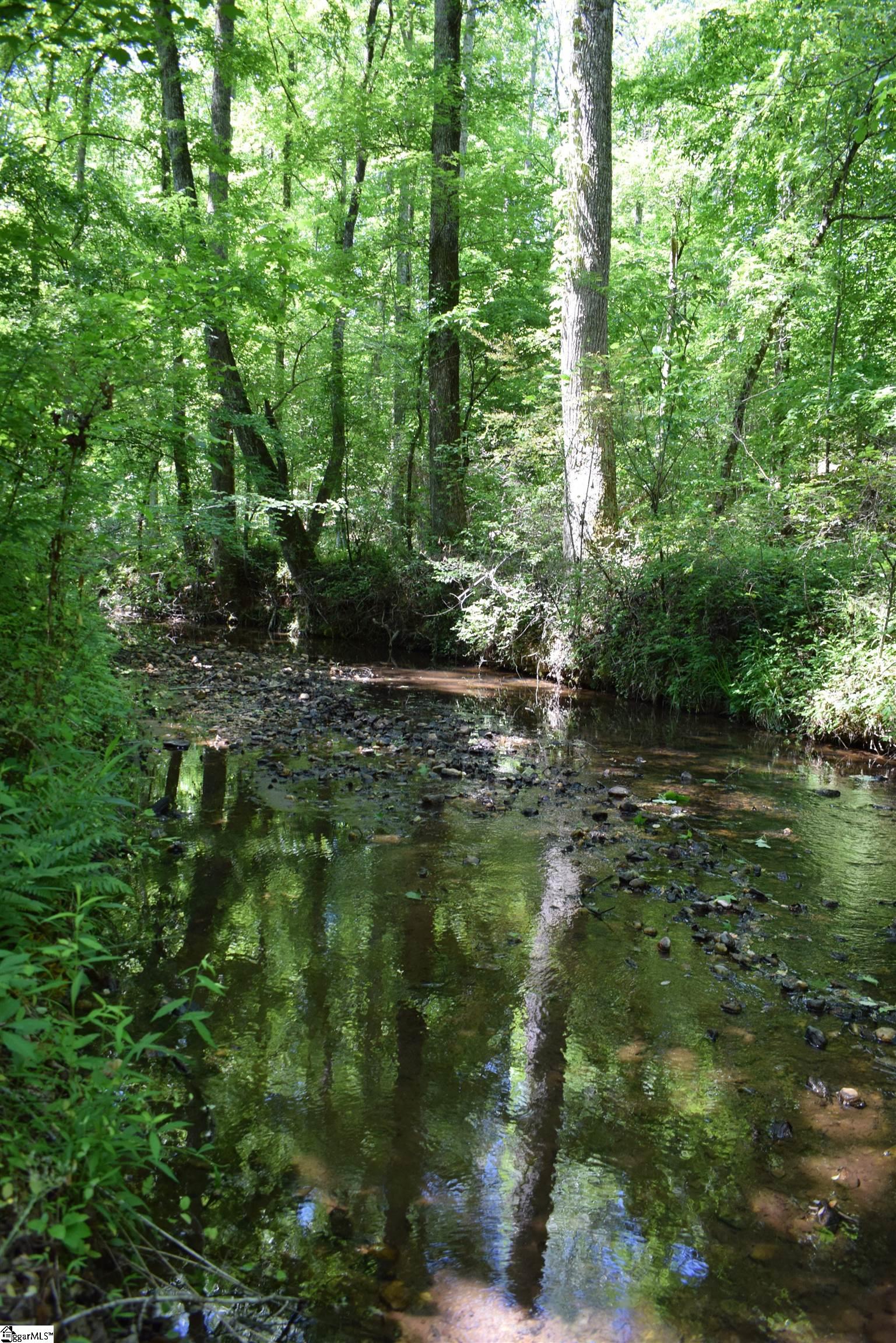 Floyd Blackwell Road Tryon, NC 28722