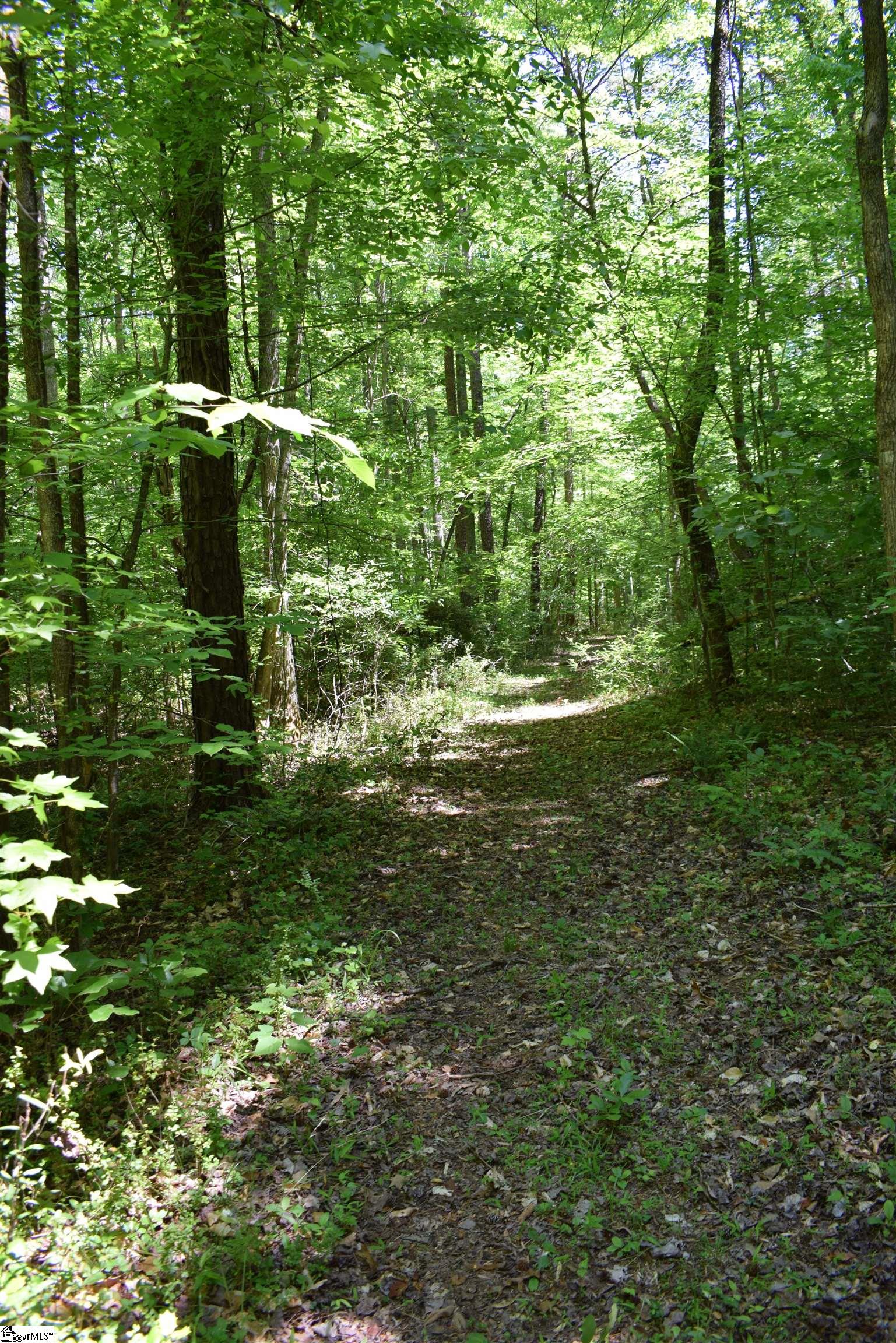 Floyd Blackwell Road Tryon, NC 28722