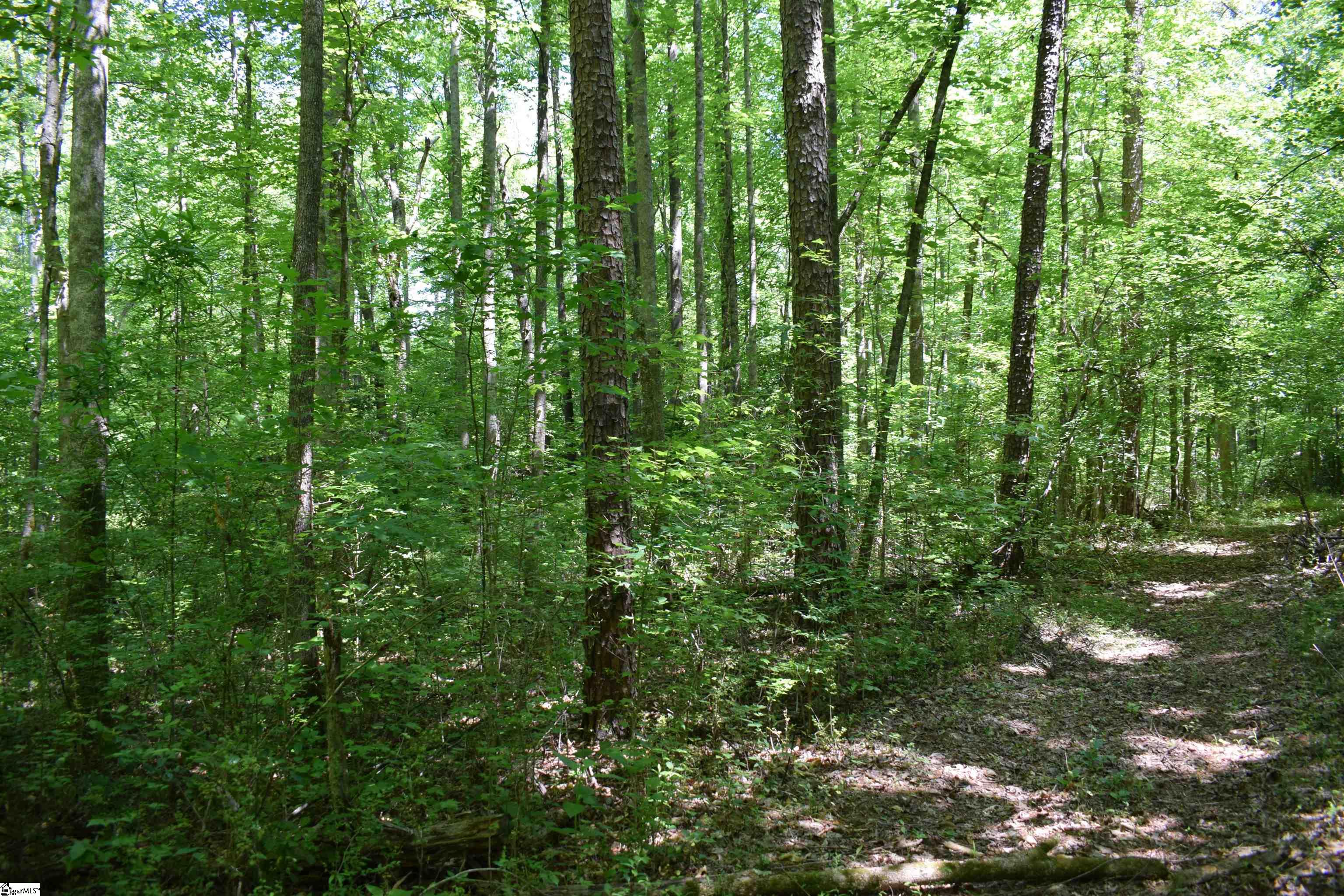 Floyd Blackwell Road Tryon, NC 28722