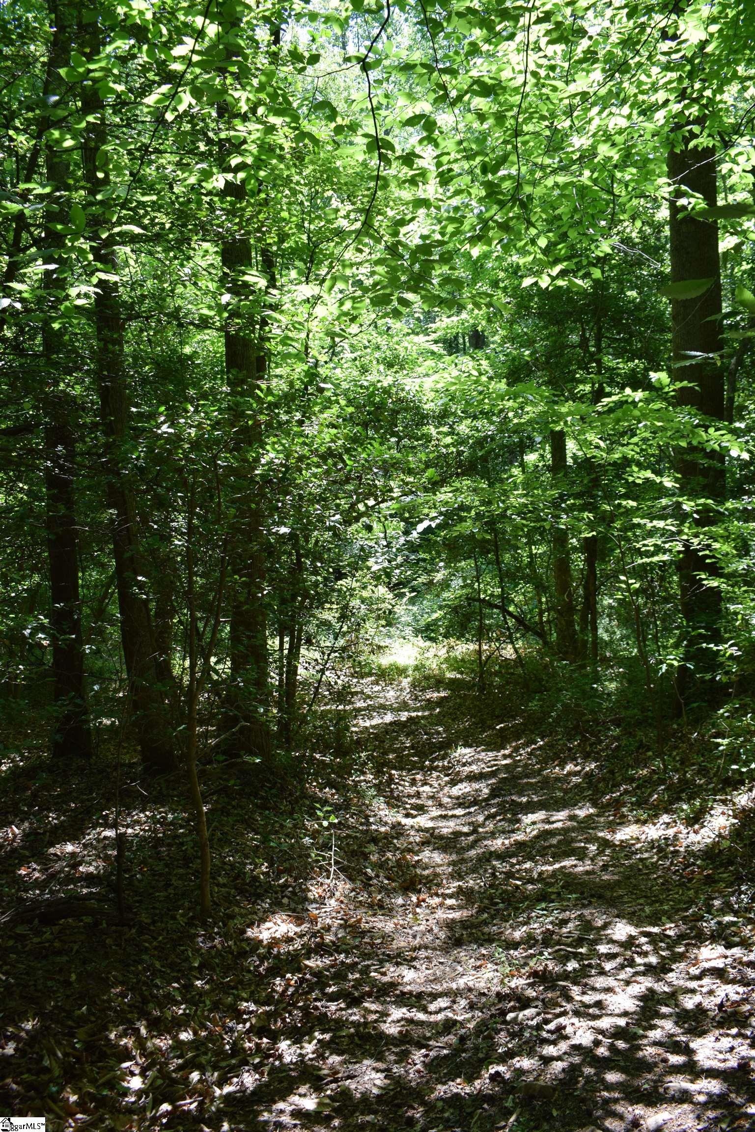Floyd Blackwell Road Tryon, NC 28722