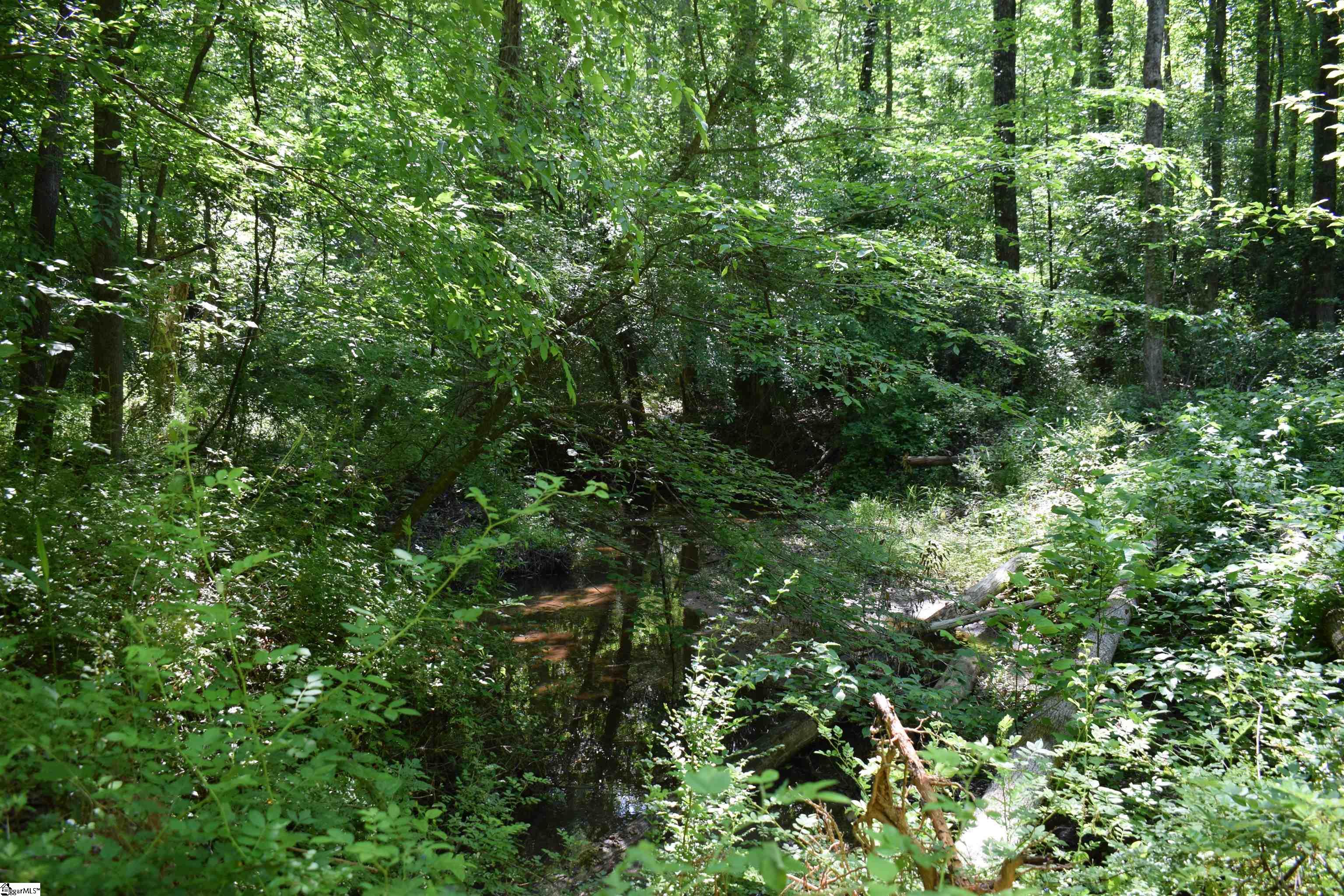 Floyd Blackwell Road Tryon, NC 28722