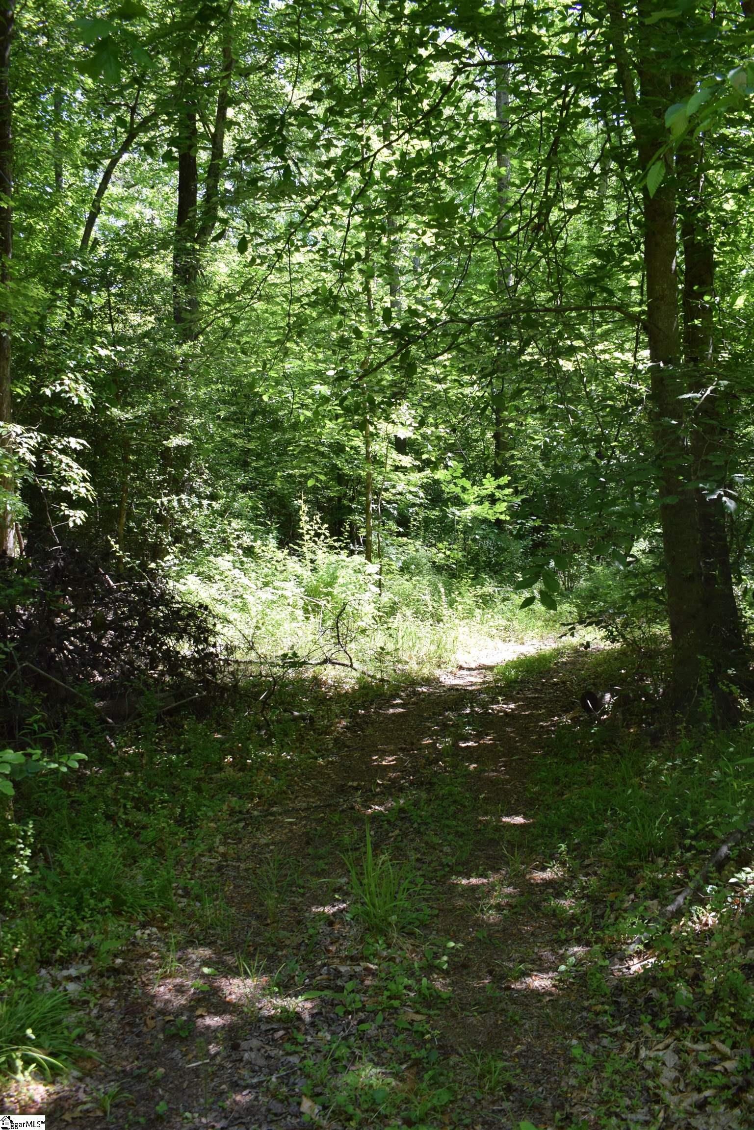 Floyd Blackwell Road Tryon, NC 28722