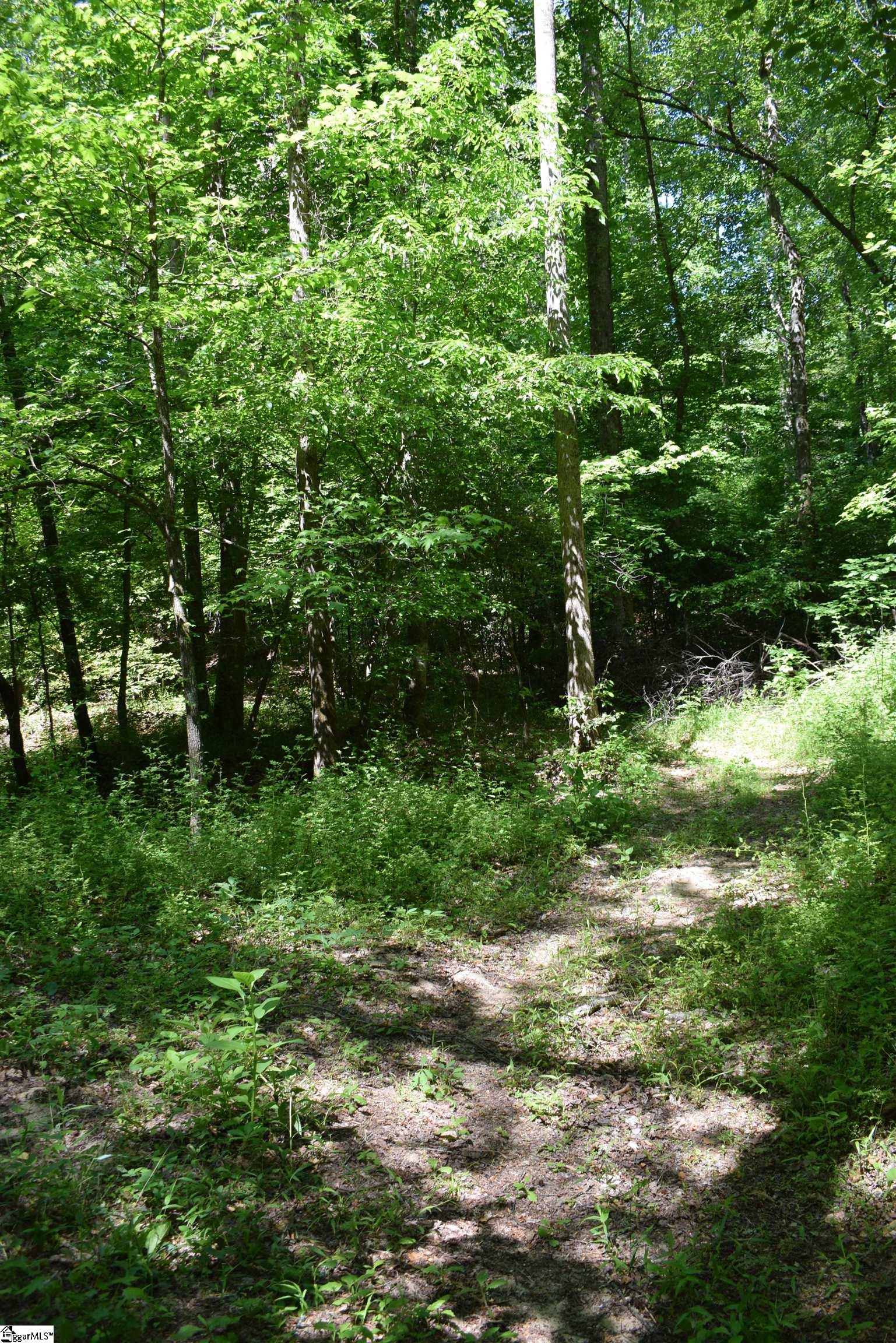 Floyd Blackwell Road Tryon, NC 28722