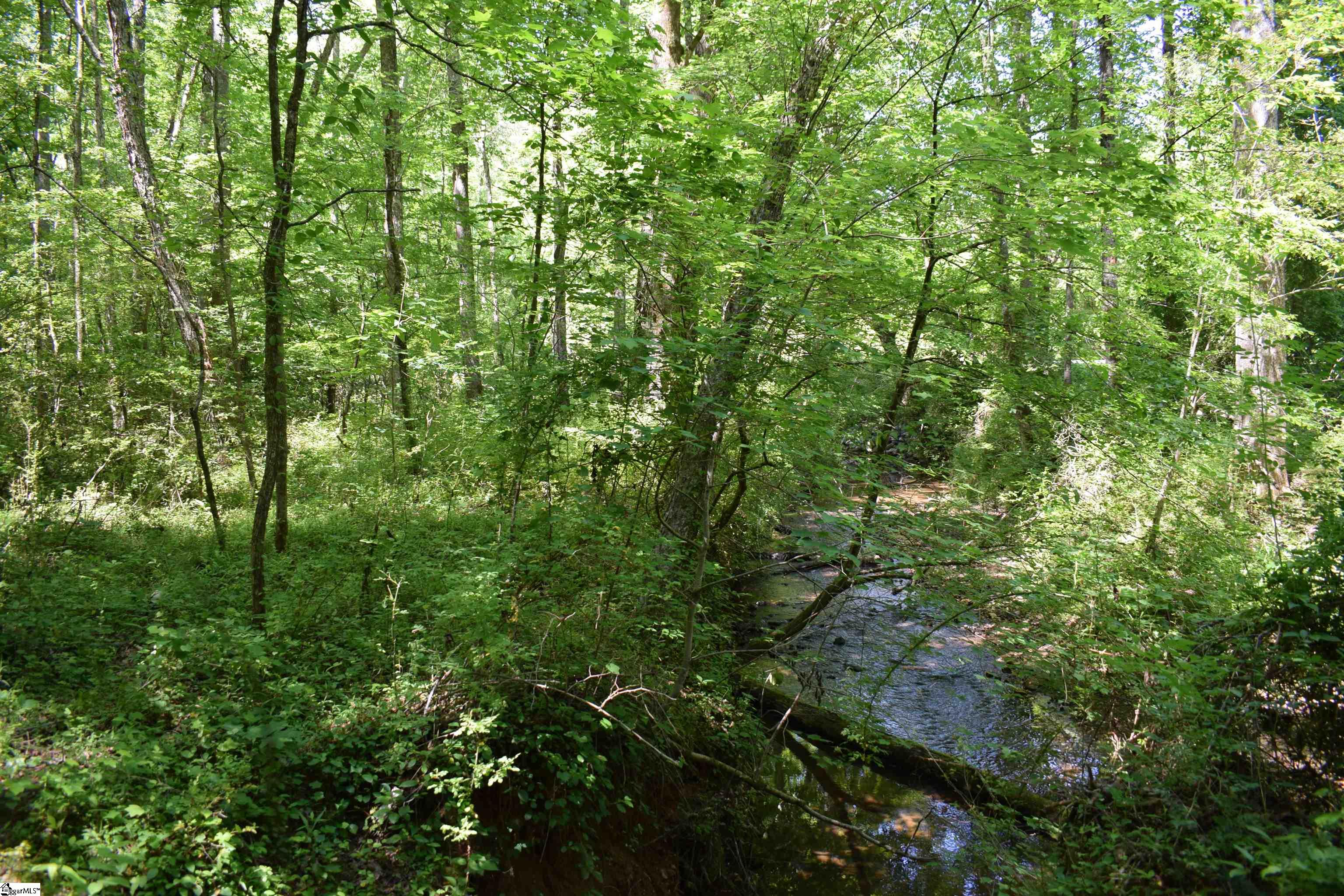Floyd Blackwell Road Tryon, NC 28722