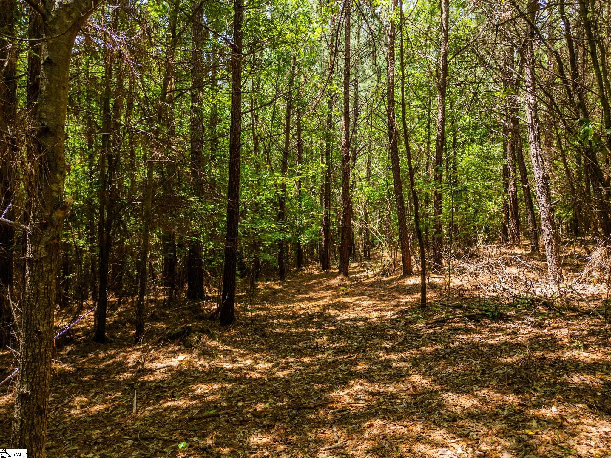 New Circle Road Travelers Rest, SC 29690
