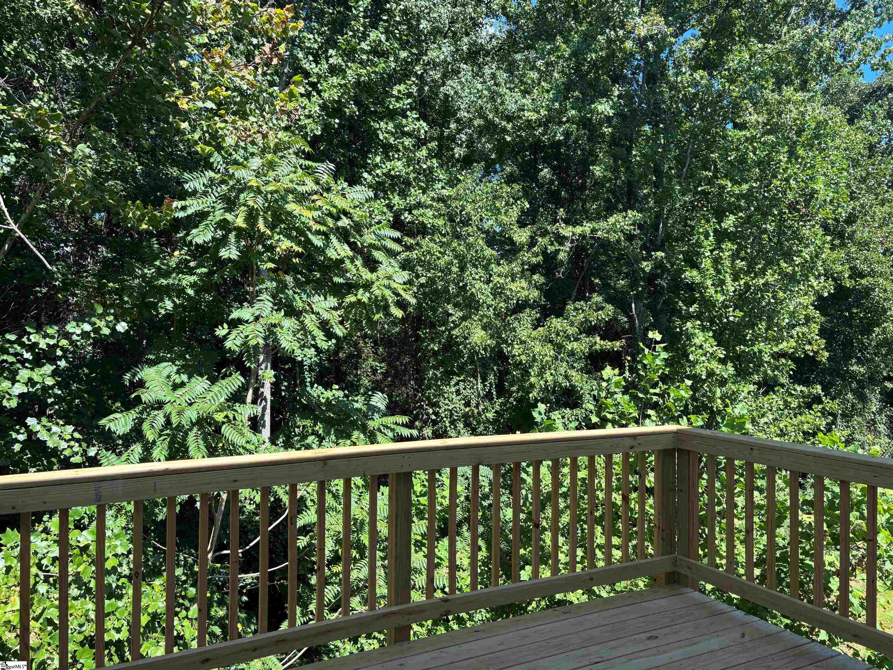 215 Juniper Leaf Way, Greer SC 29651