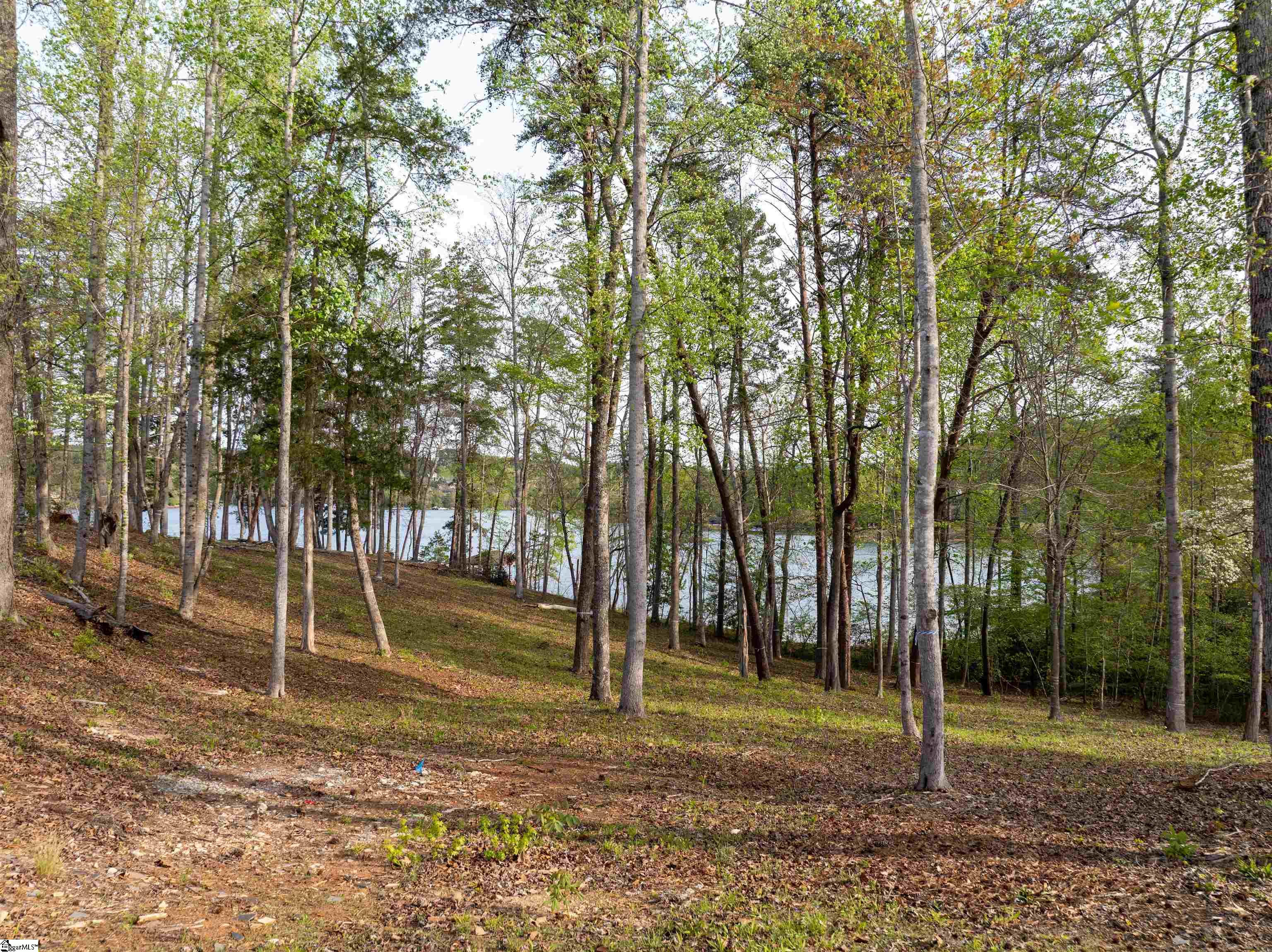 390 Peninsula Ridge Sunset, SC 29685