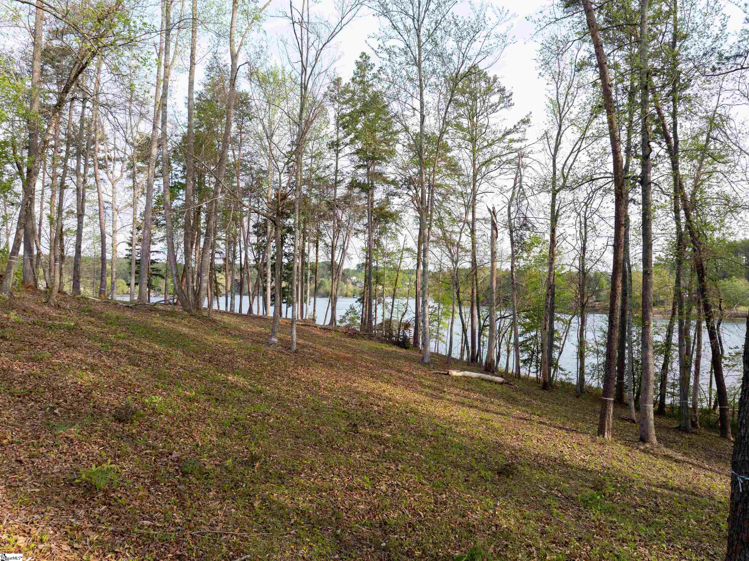 390 Peninsula Ridge Sunset, SC 29685