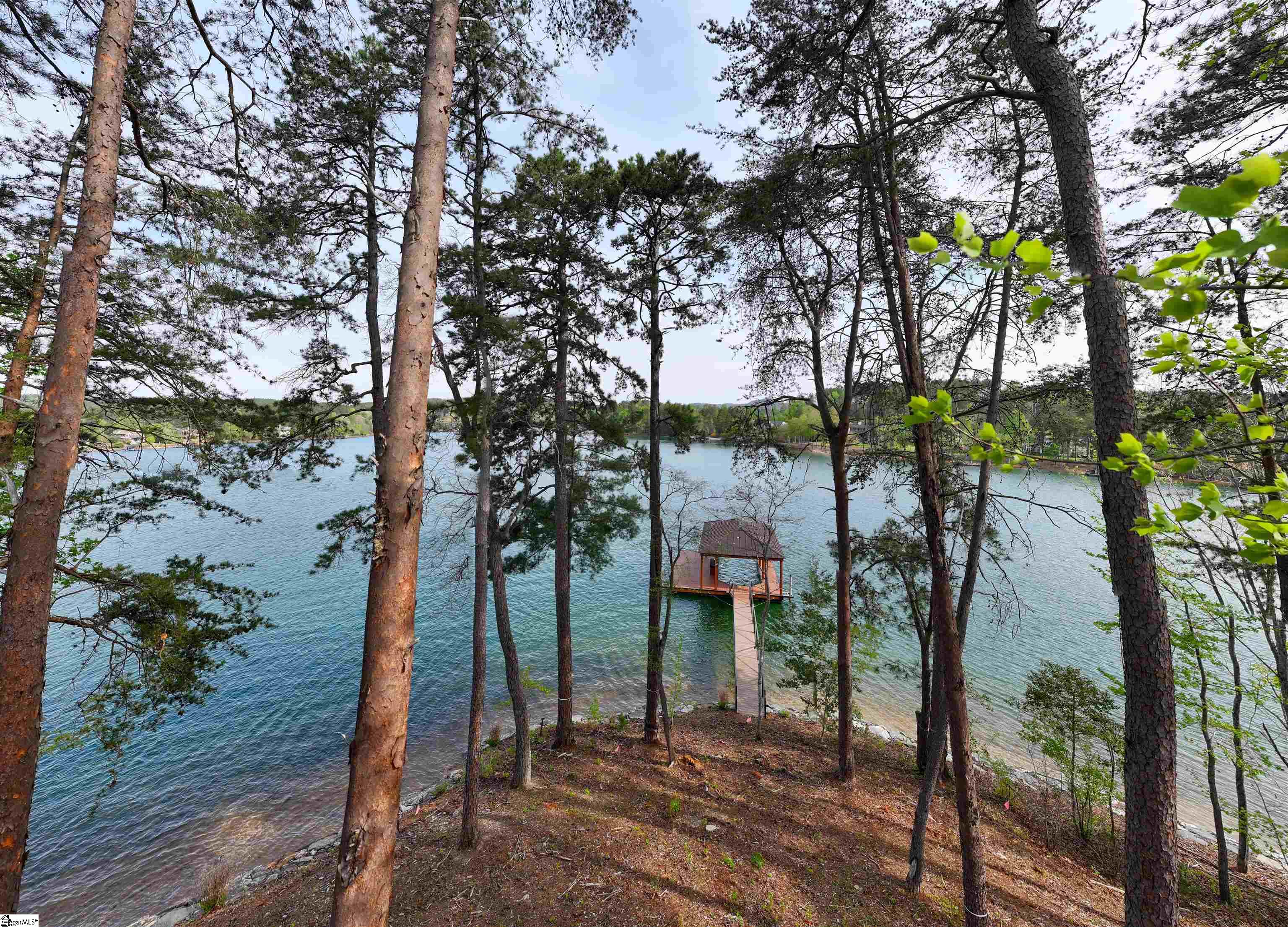 390 Peninsula Ridge Sunset, SC 29685