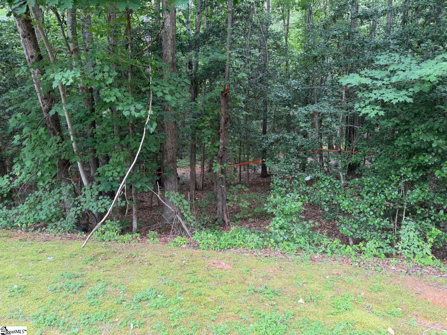 305 Horsepen Way Simpsonville, SC 29681